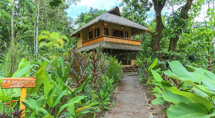 Copa De Arbol Beach & Rainforest Resort