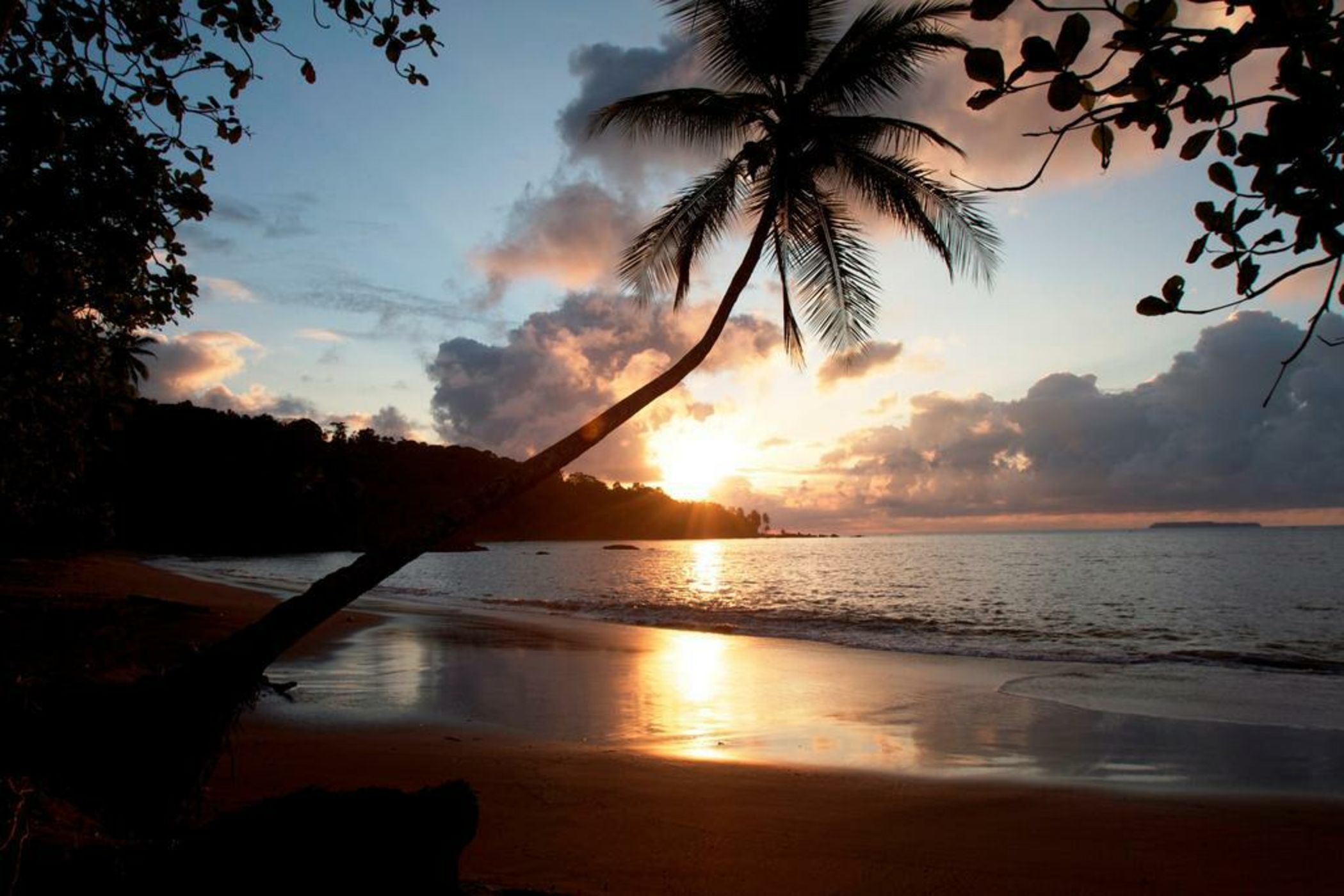 Copa De Arbol Beach & Rainforest Resort