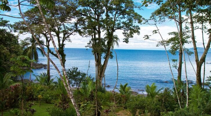 Copa De Arbol Beach & Rainforest Resort