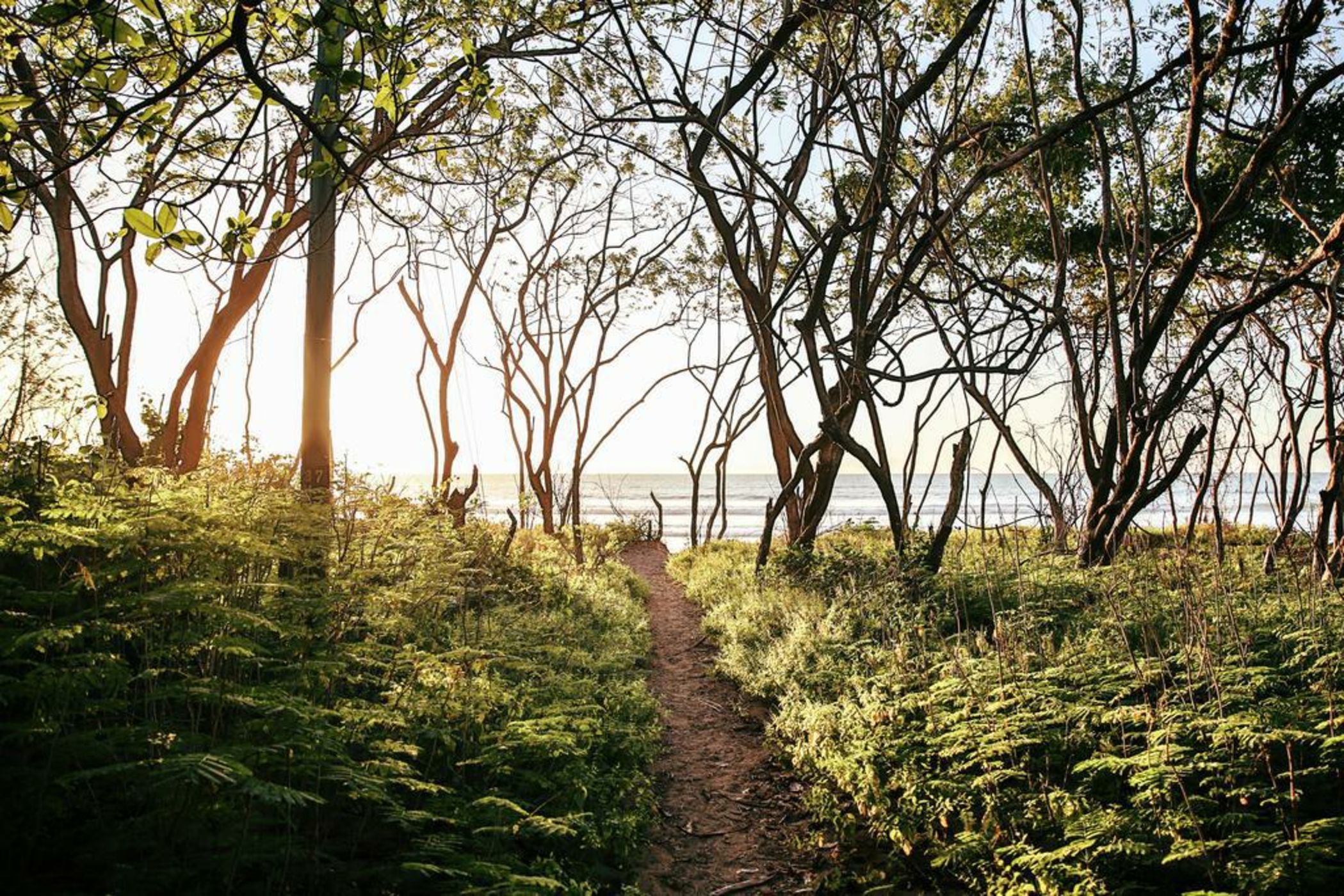 Pipe House Playa Grande