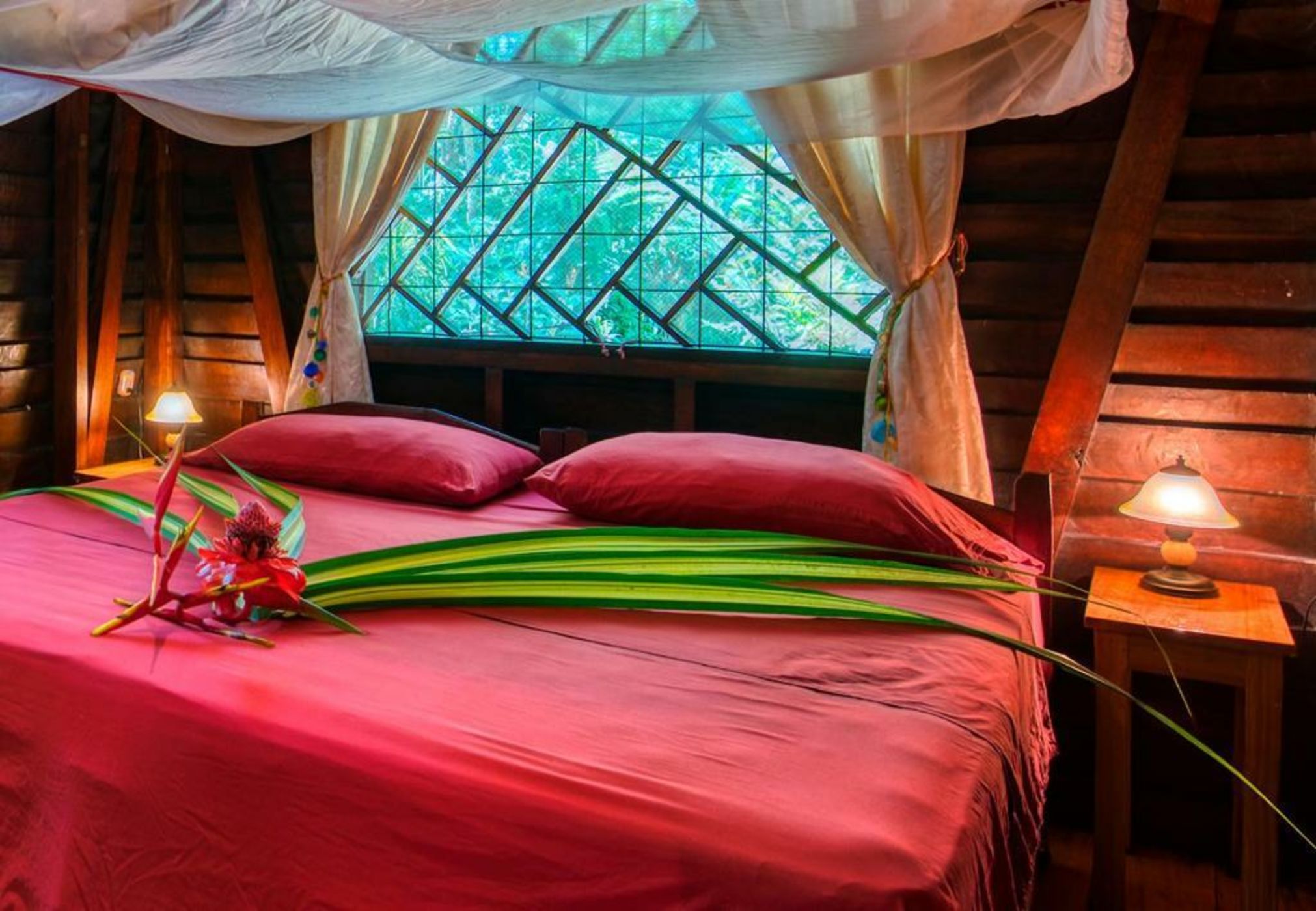 Congo Bongo EcoVillage Costa Rica