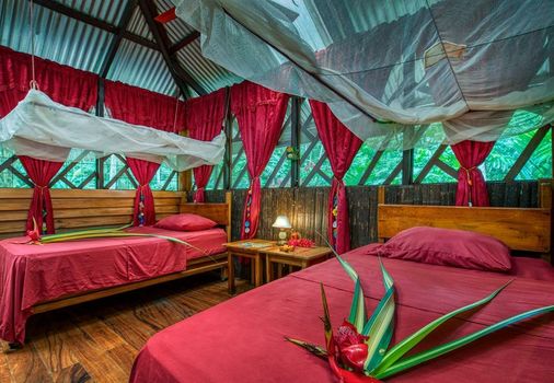 Congo Bongo EcoVillage Costa Rica