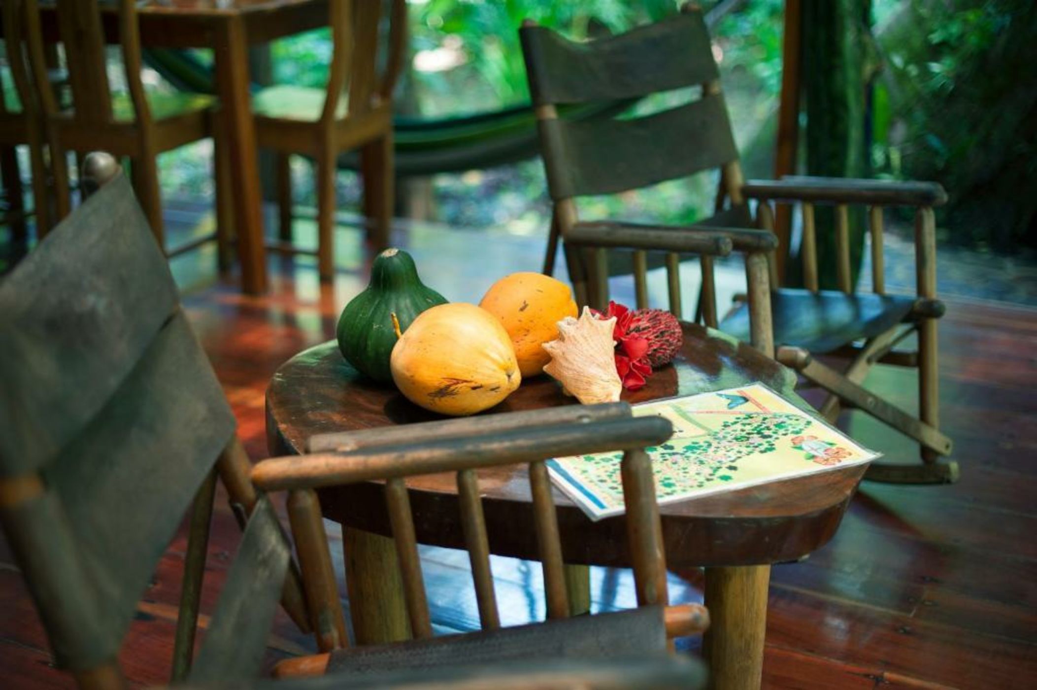 Congo Bongo EcoVillage Costa Rica