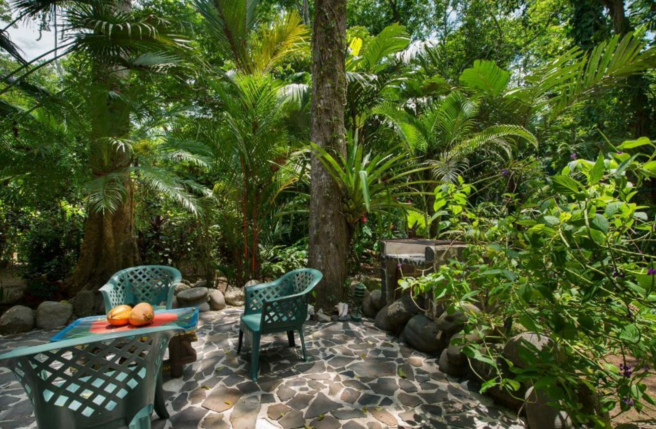 Congo Bongo EcoVillage Costa Rica