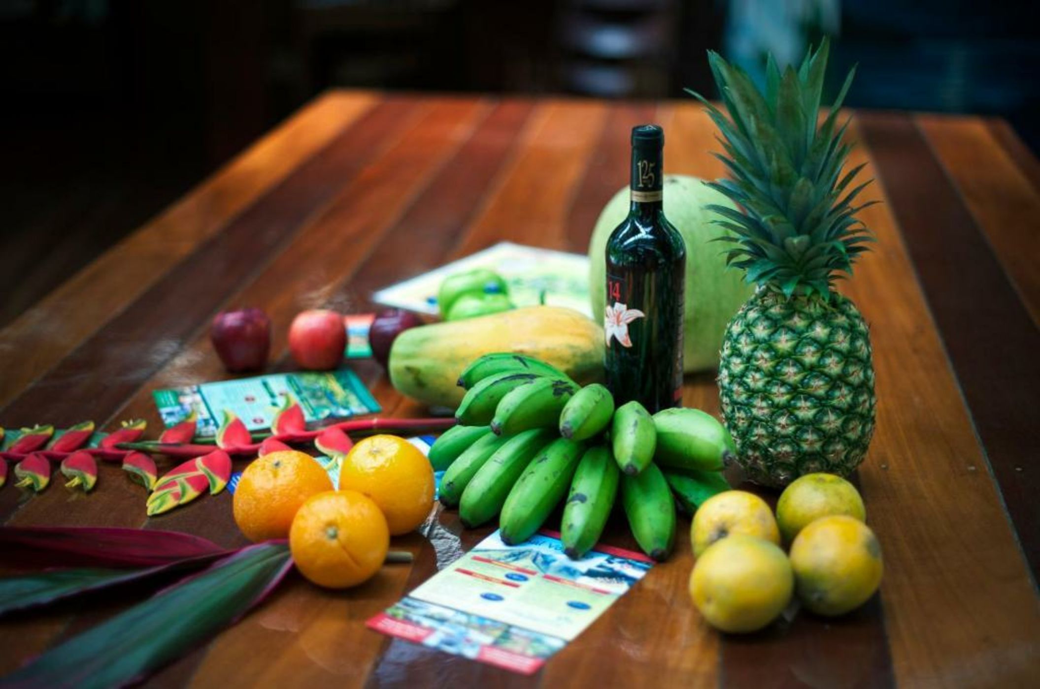 Congo Bongo EcoVillage Costa Rica