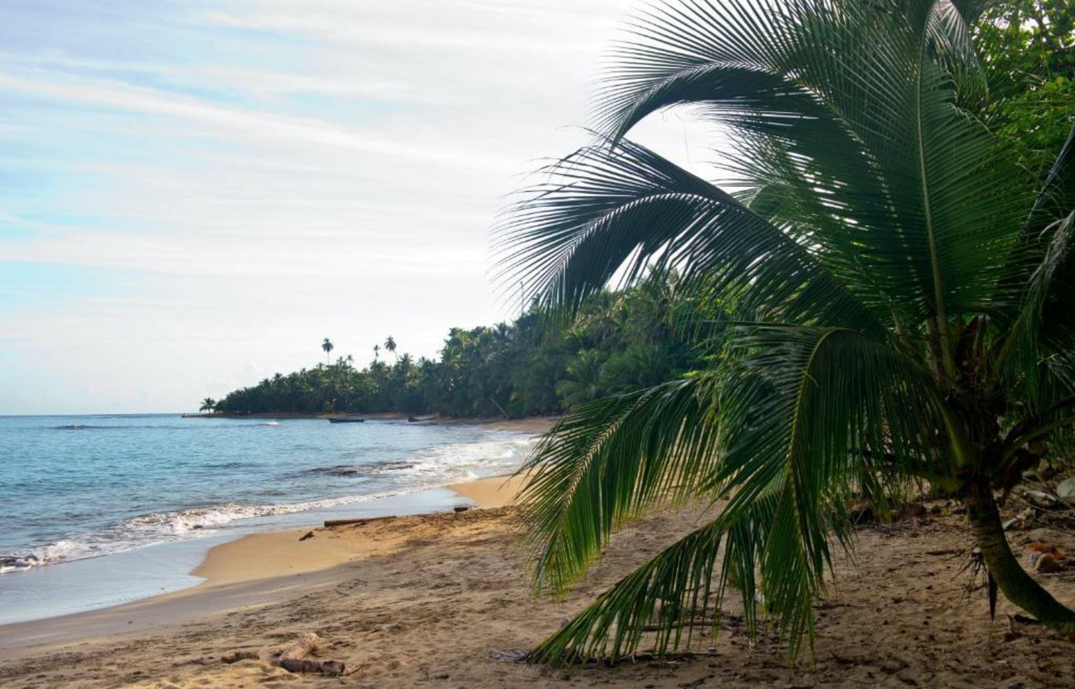 Congo Bongo EcoVillage Costa Rica