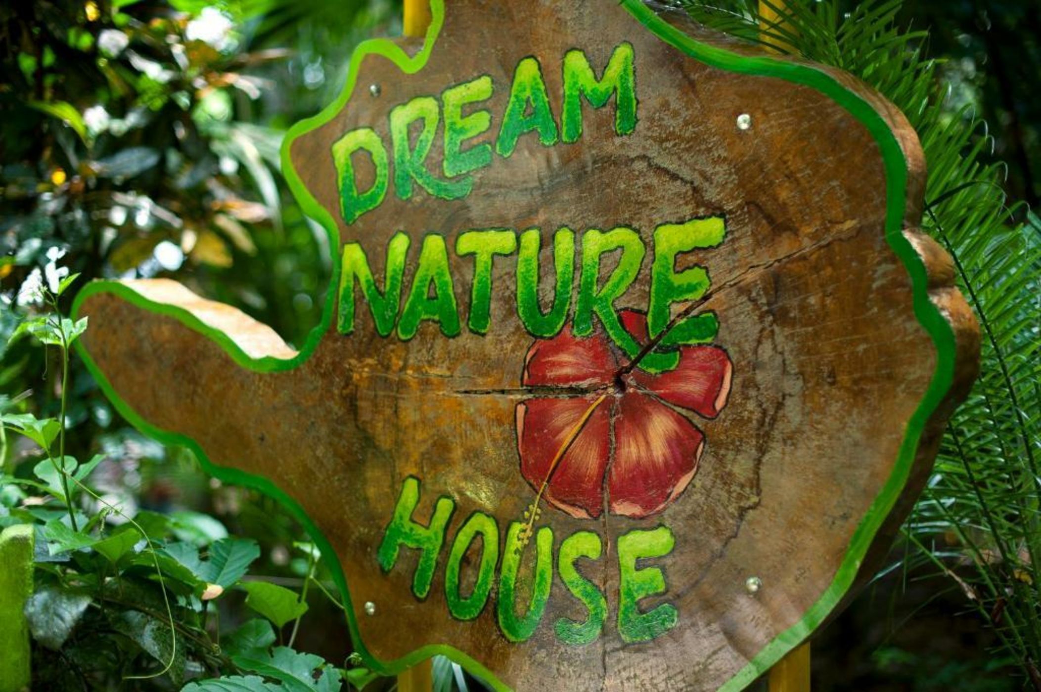 Congo Bongo EcoVillage Costa Rica