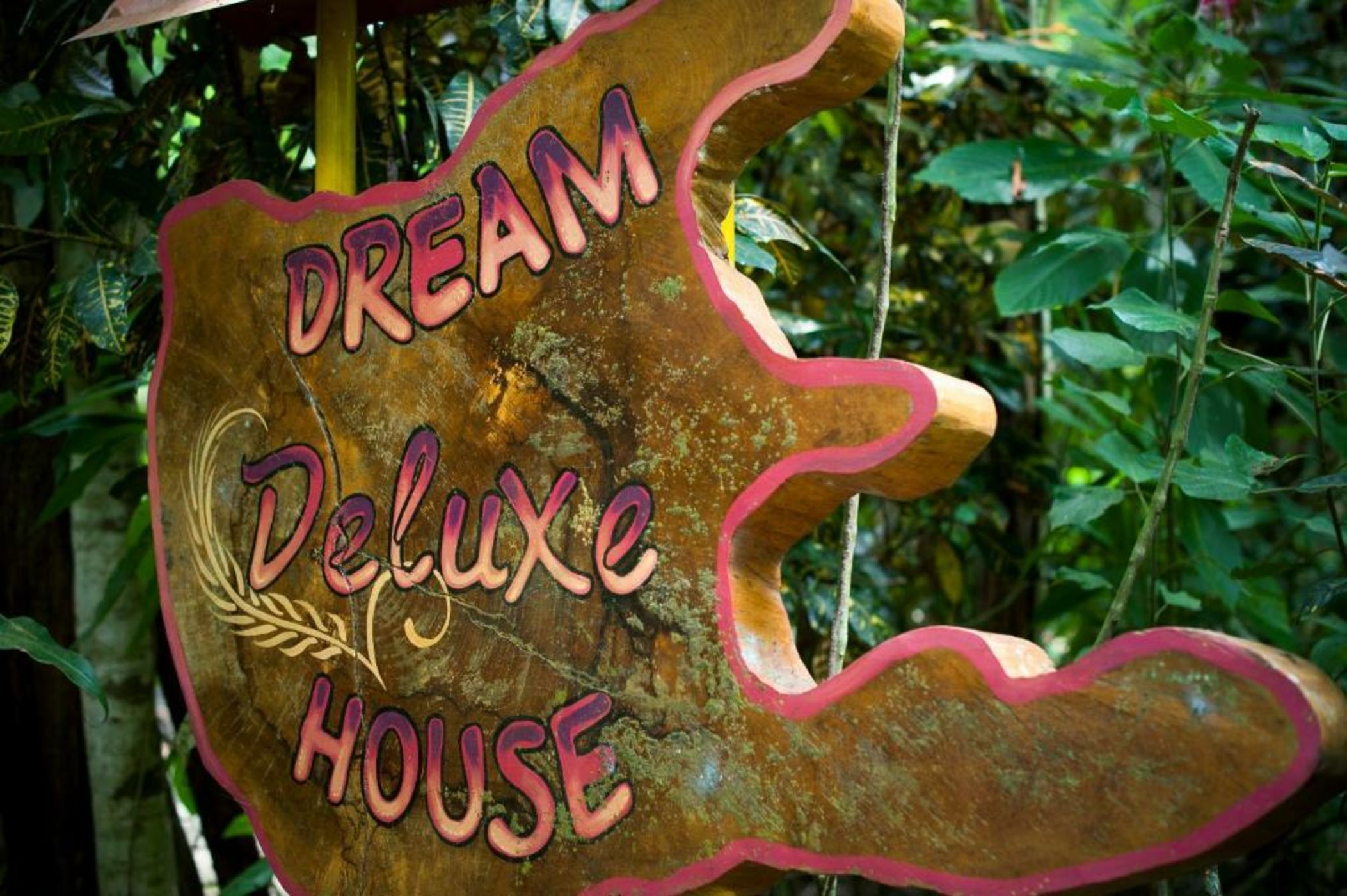 Congo Bongo EcoVillage Costa Rica