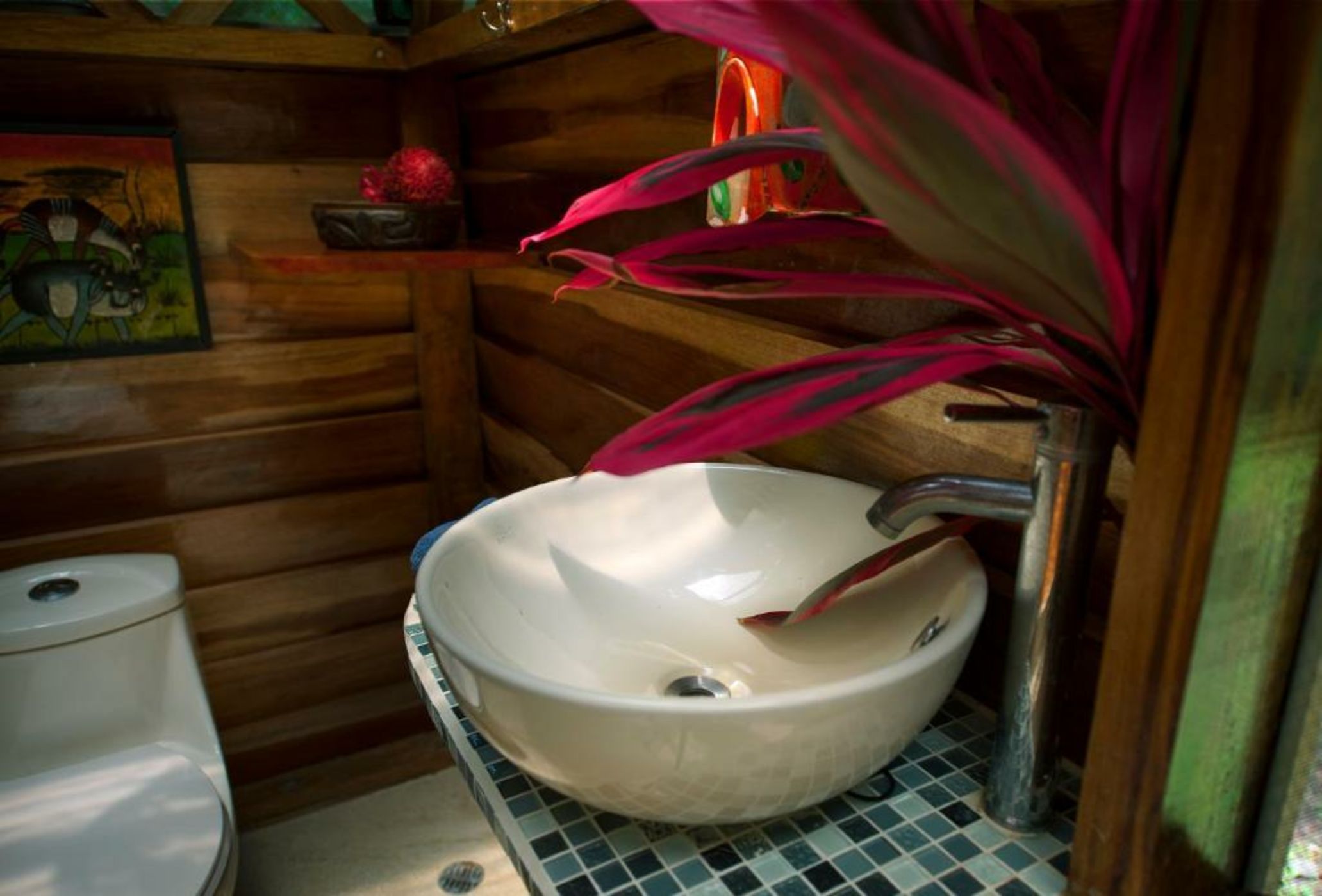 Congo Bongo EcoVillage Costa Rica