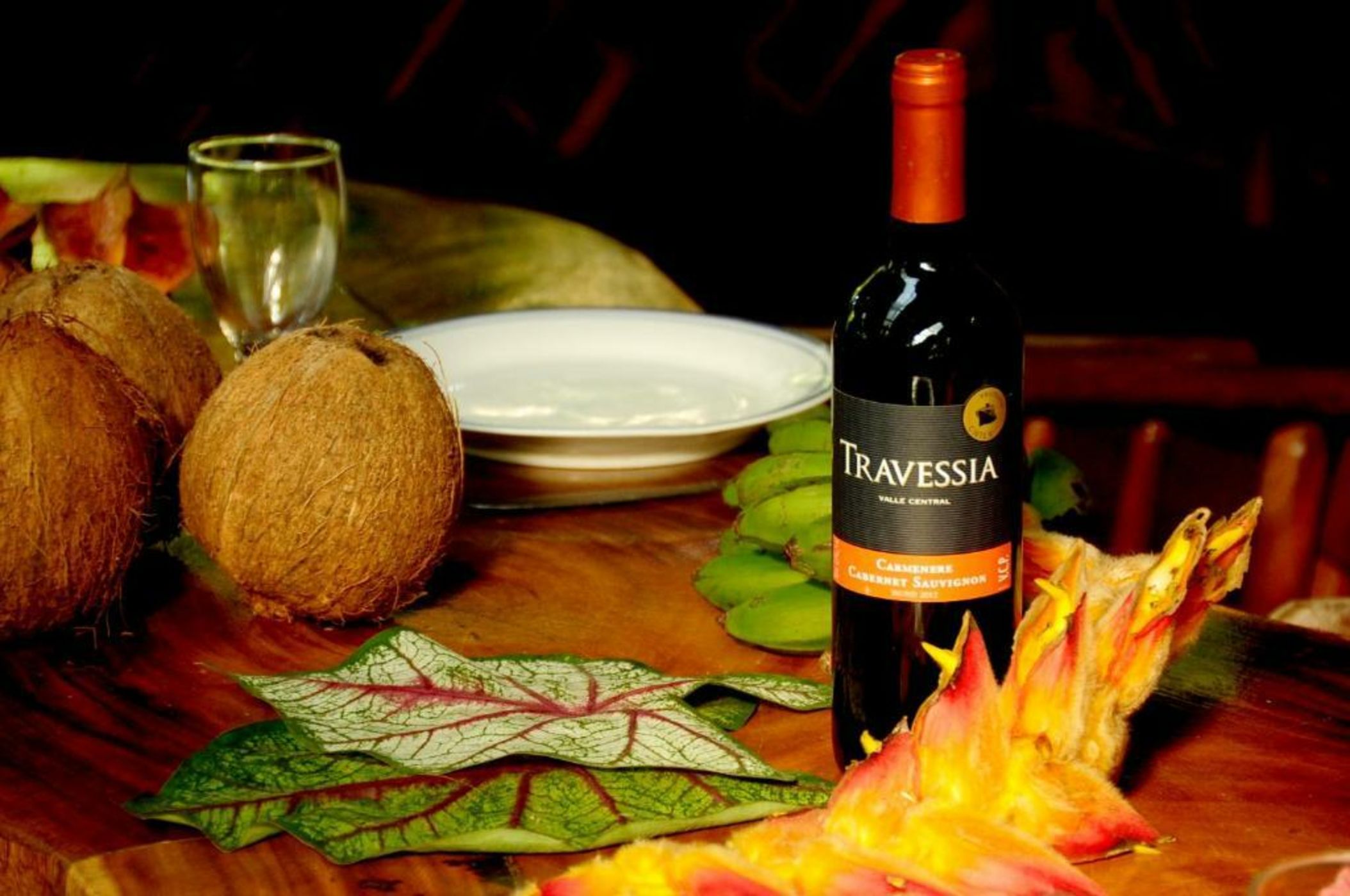 Congo Bongo EcoVillage Costa Rica