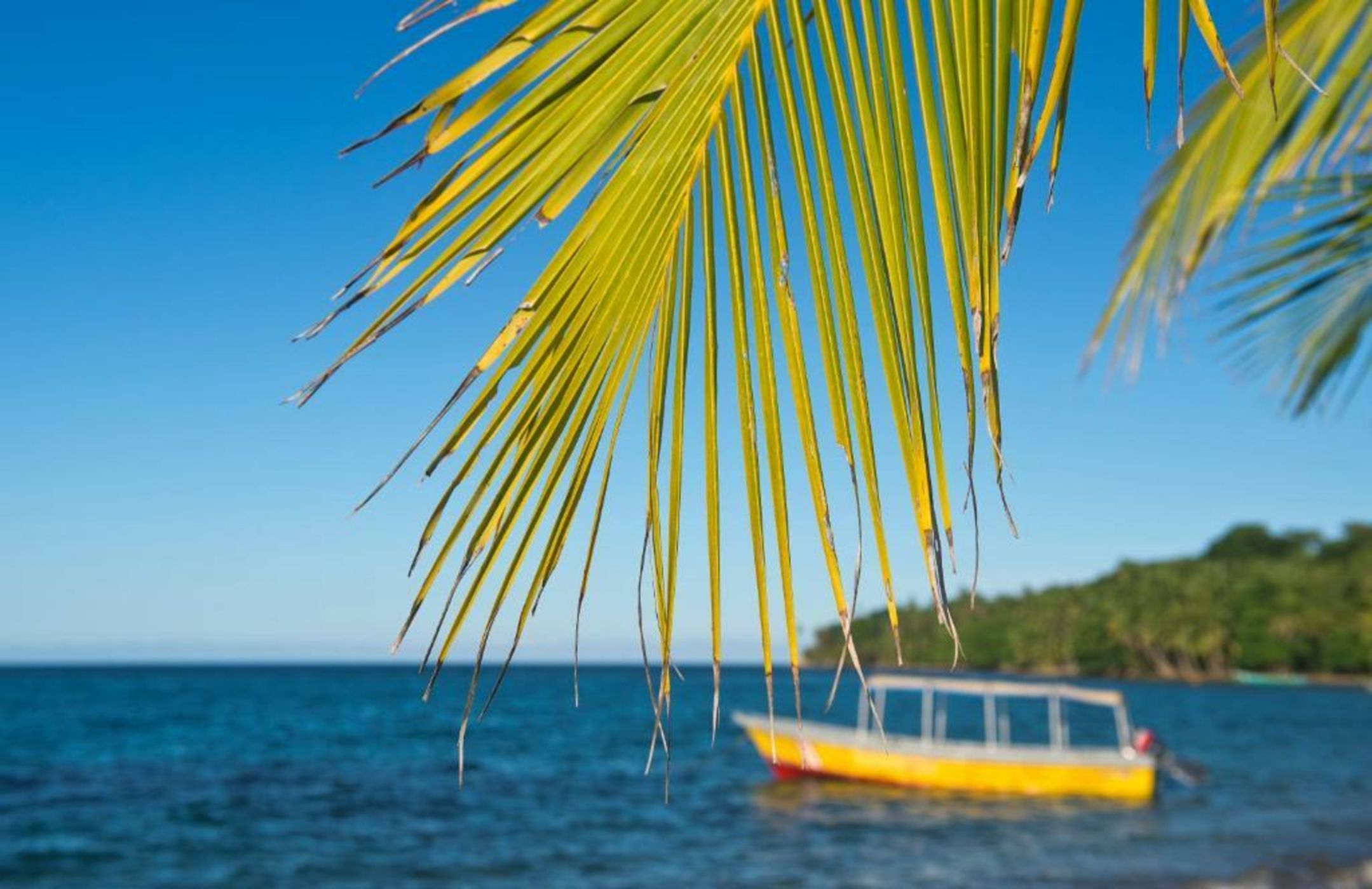 Congo Bongo EcoVillage Costa Rica