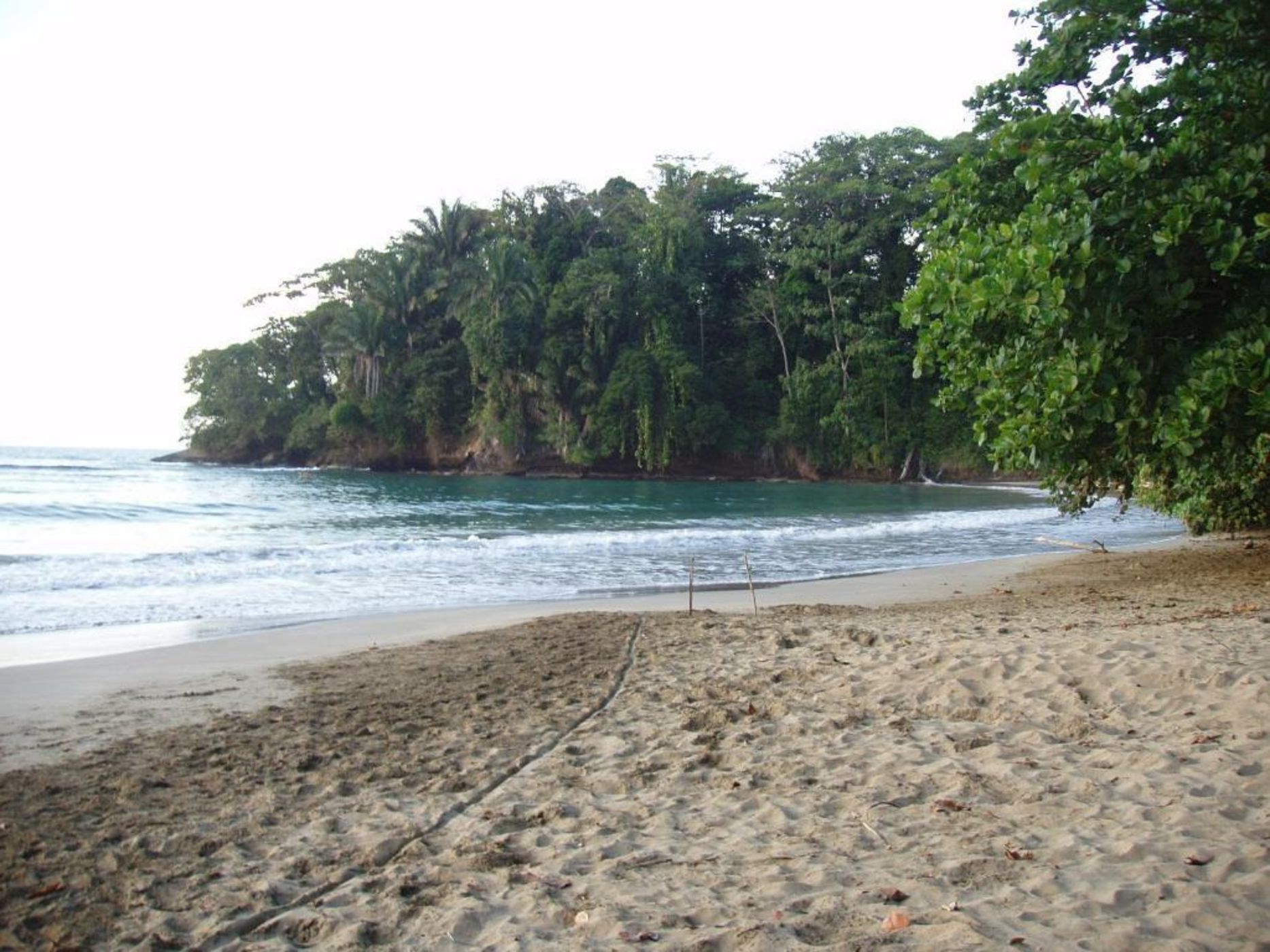 Congo Bongo EcoVillage Costa Rica