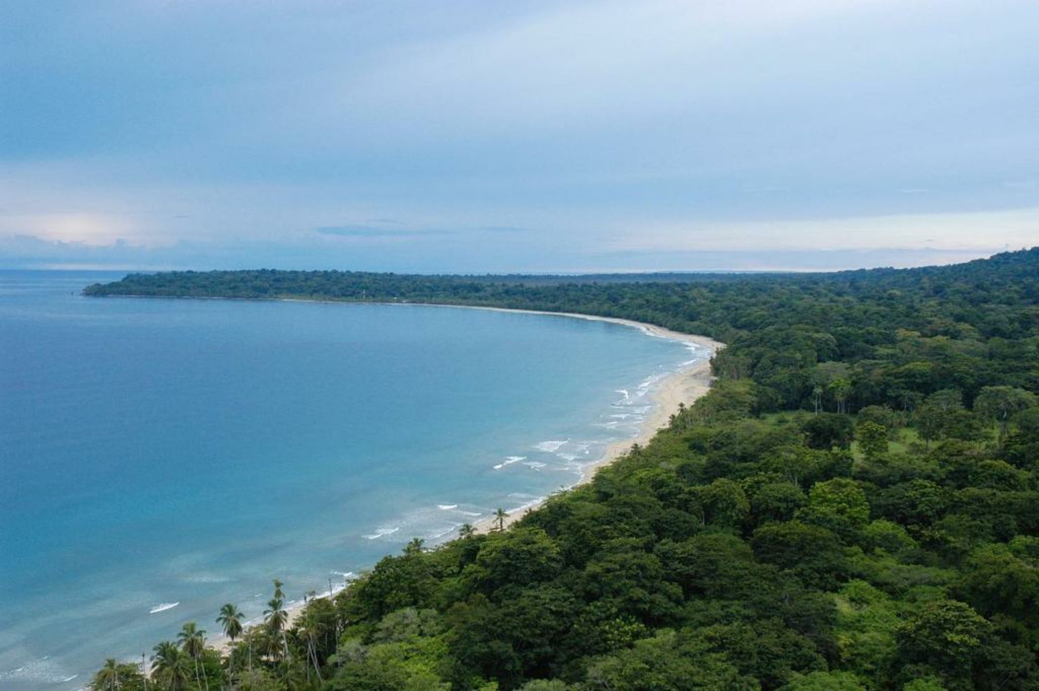 Congo Bongo EcoVillage Costa Rica