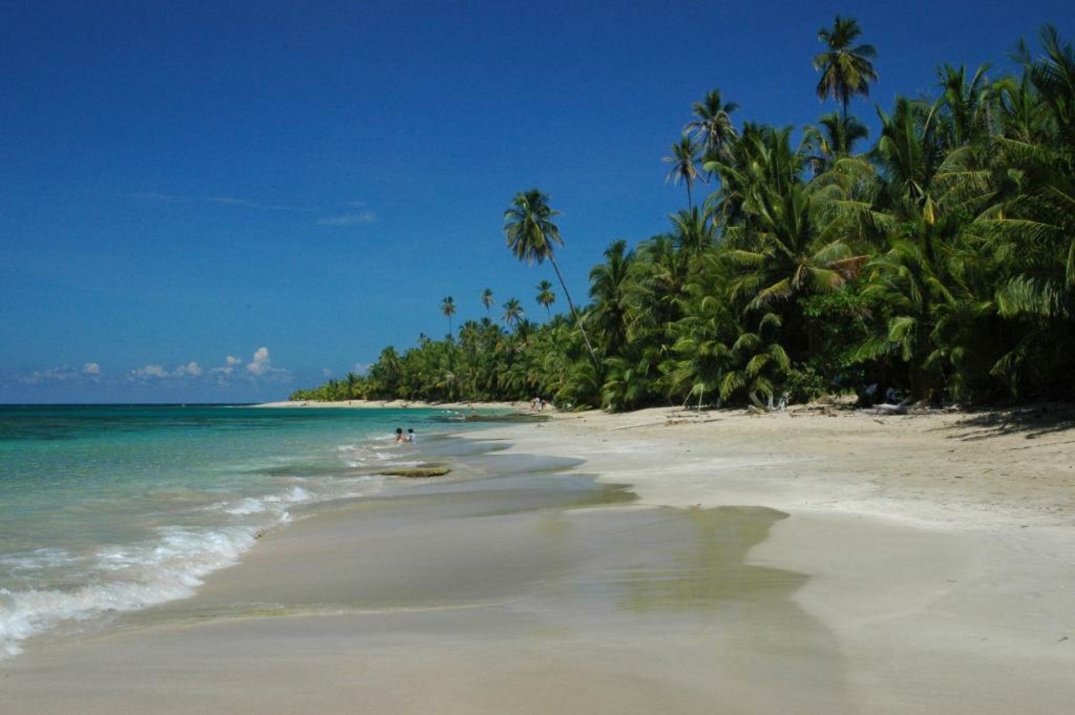 Congo Bongo EcoVillage Costa Rica