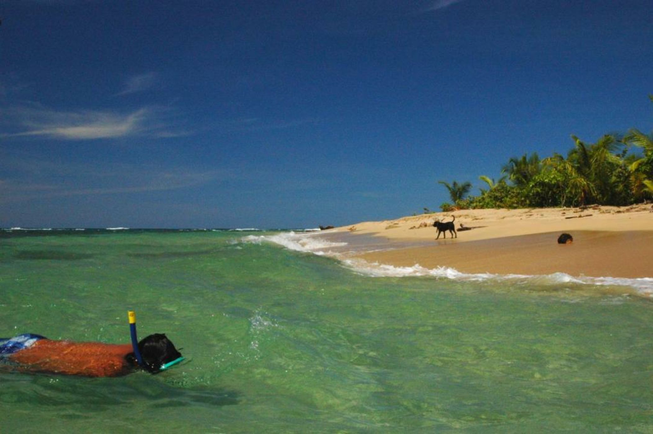 Congo Bongo EcoVillage Costa Rica