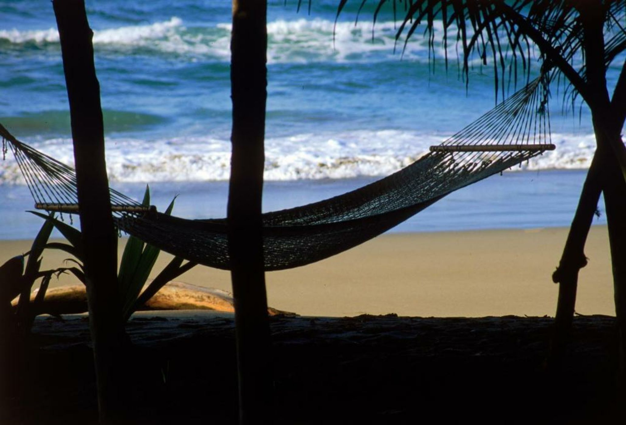 Congo Bongo EcoVillage Costa Rica