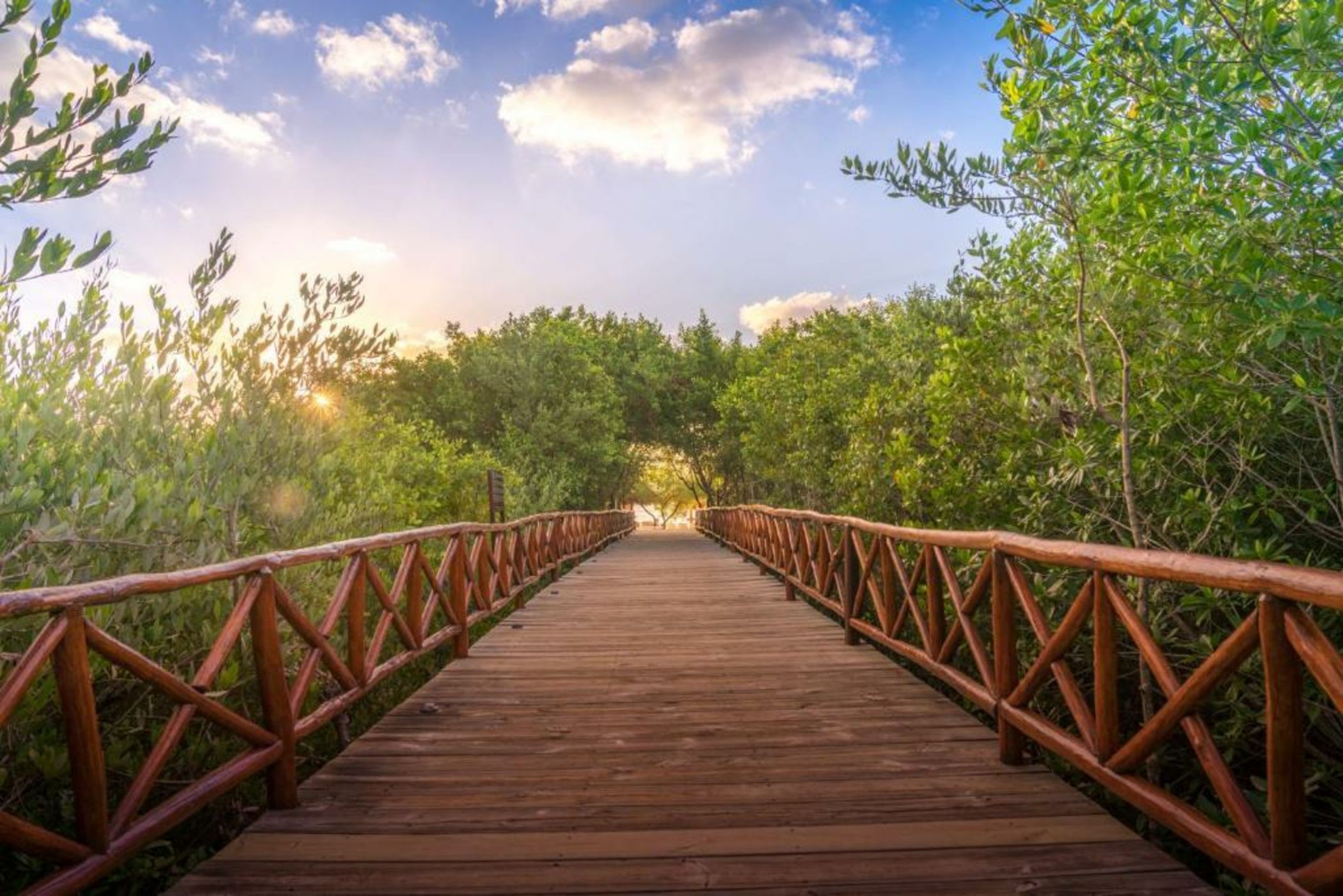 Platinum Yucatan Princess Adults Only - All Inclusive