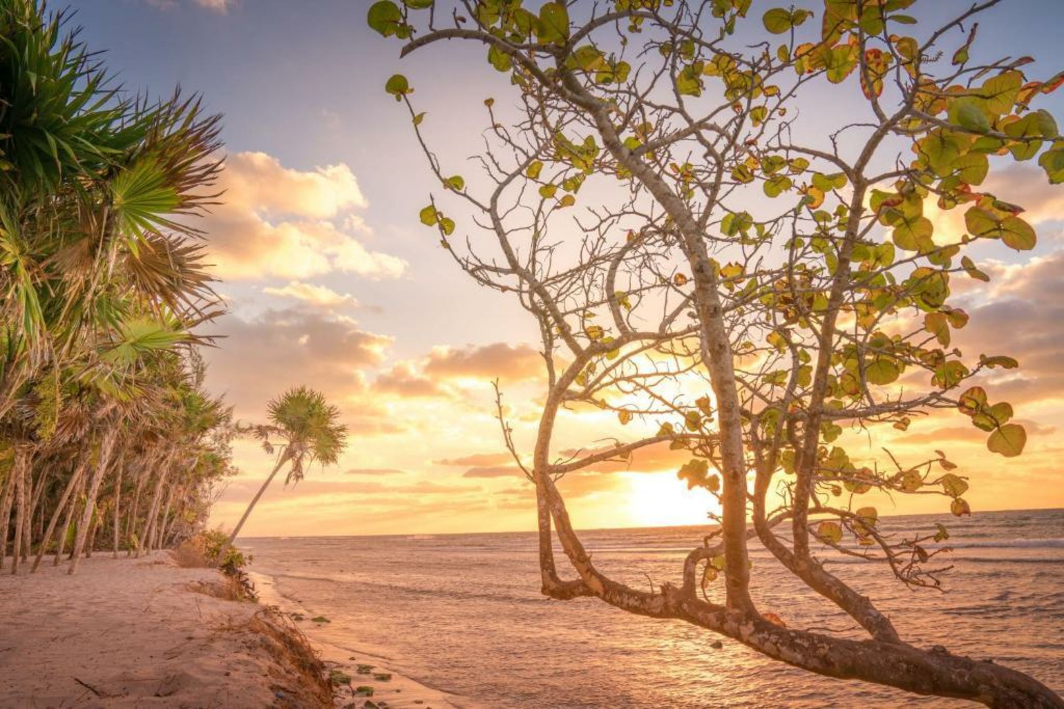 Platinum Yucatan Princess Adults Only - All Inclusive