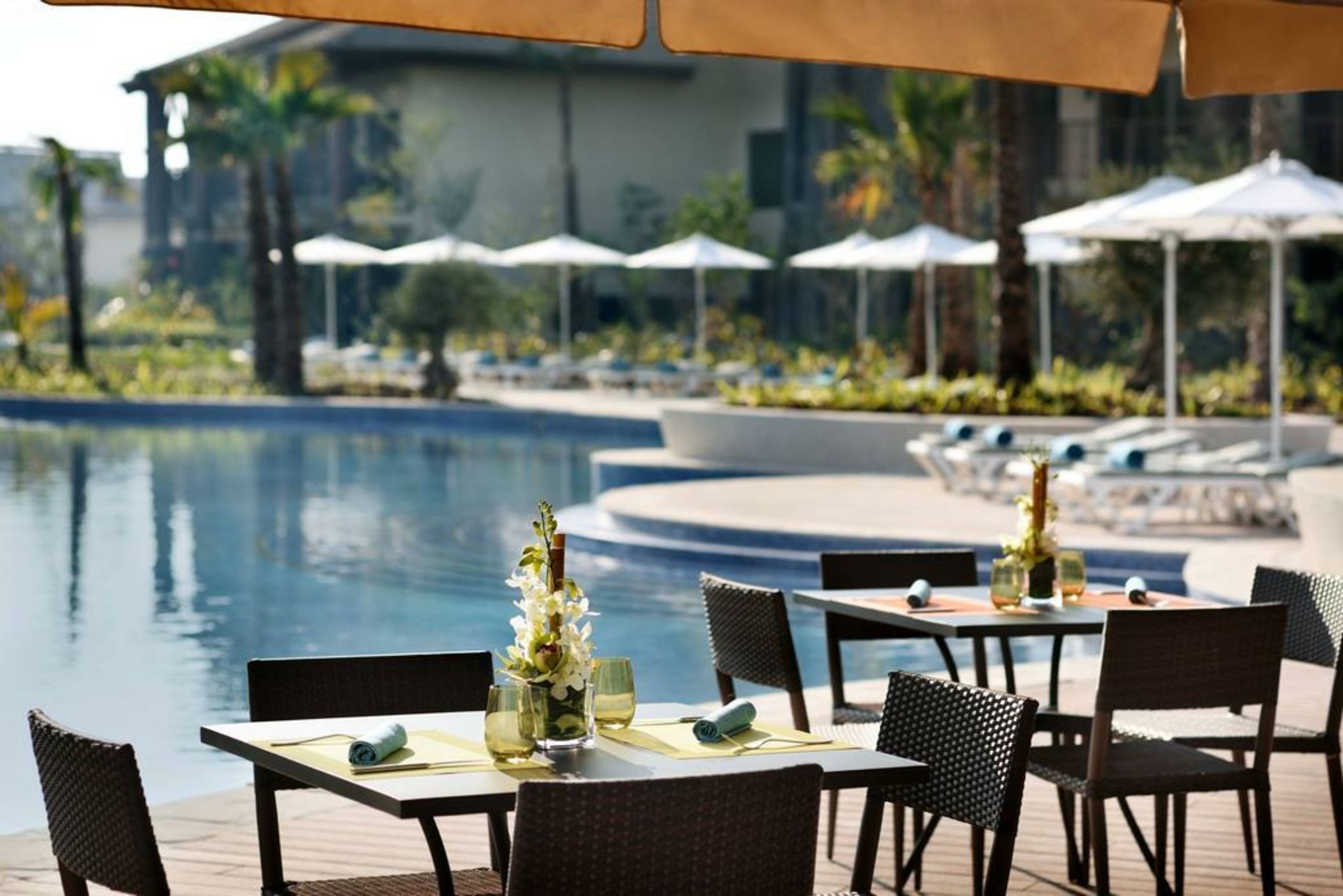 Lapita, Dubai Parks and Resorts, Autograph Collection