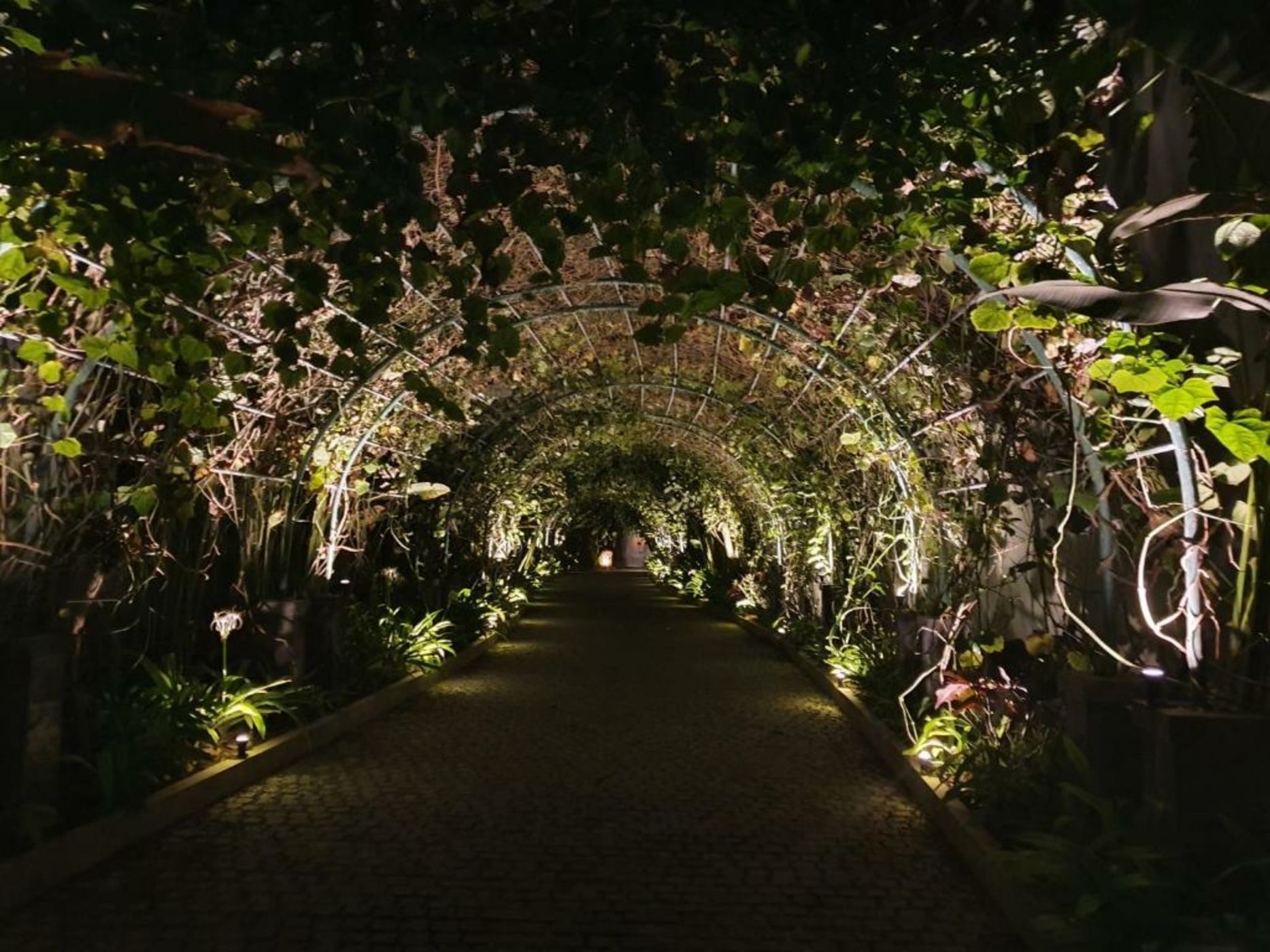 The Royal Purnama - Adults Only