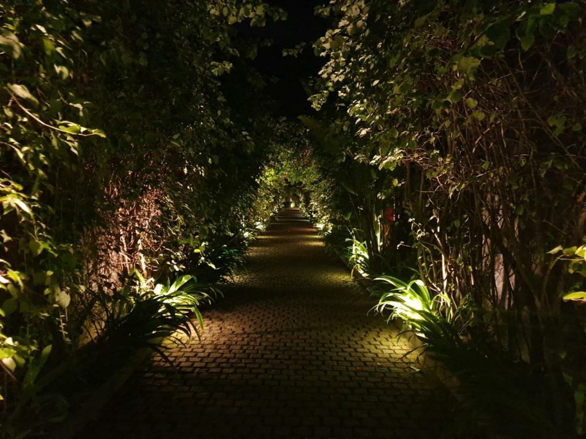 The Royal Purnama - Adults Only