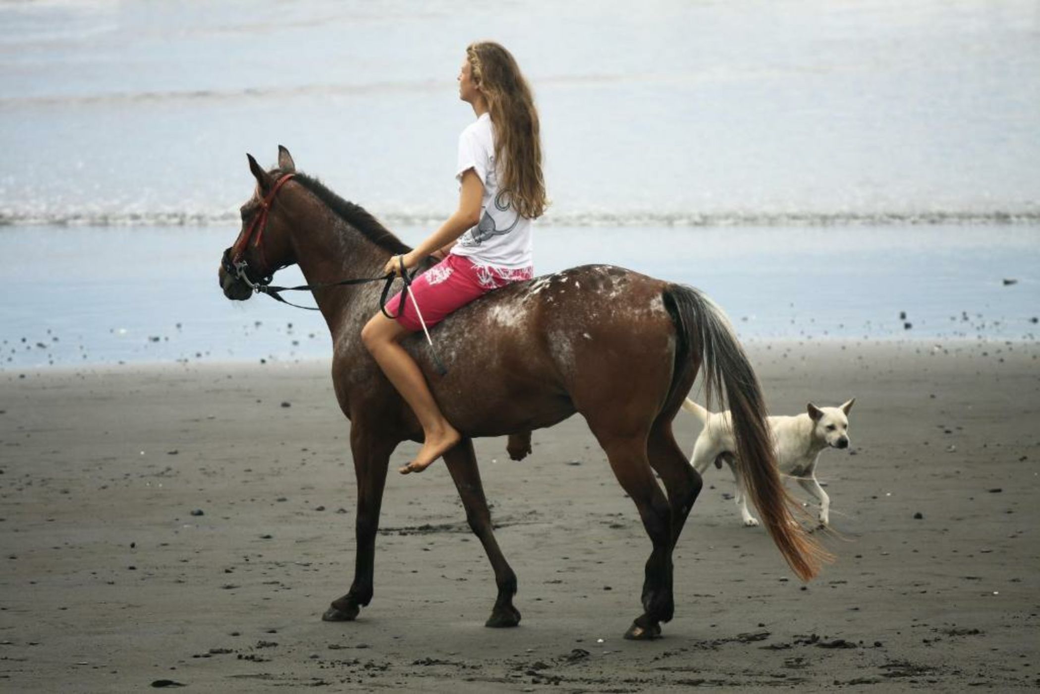 The Royal Purnama - Adults Only