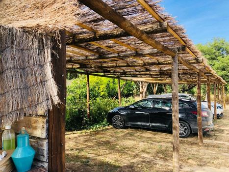 Ponte Pedra - Melides Country House Adults Only