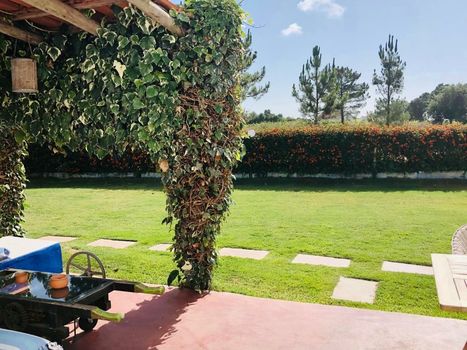 Ponte Pedra - Melides Country House Adults Only
