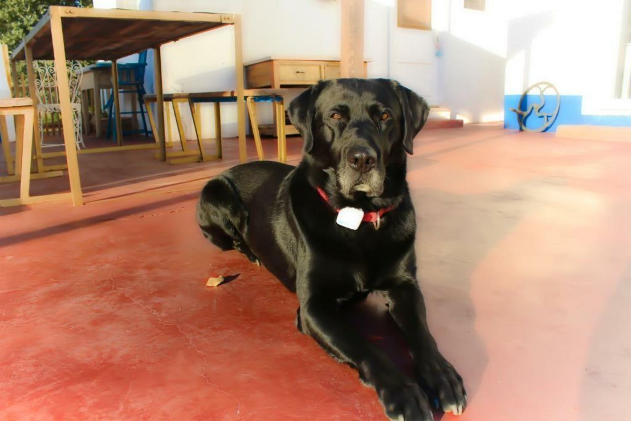 Ponte Pedra - Melides Country House Adults Only