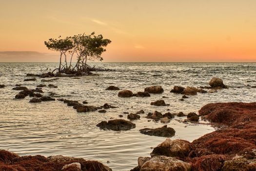 Isla Bella Beach Resort & Spa - Florida Keys