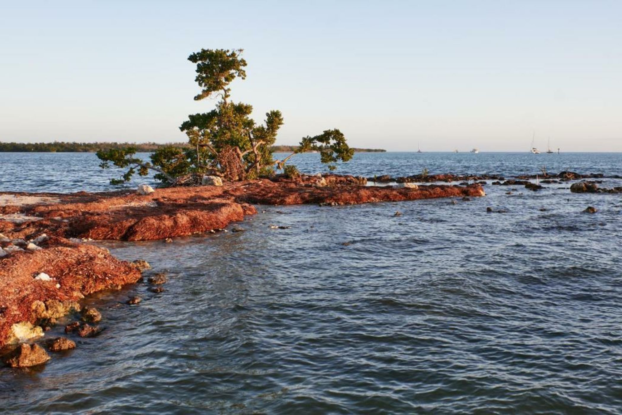 Isla Bella Beach Resort & Spa - Florida Keys