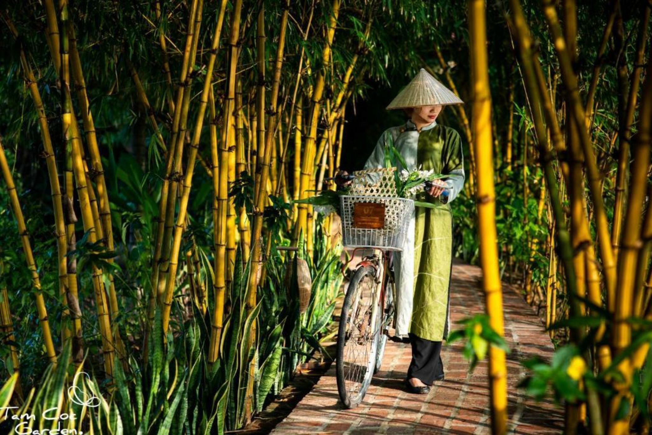 Tam Coc Garden Resort