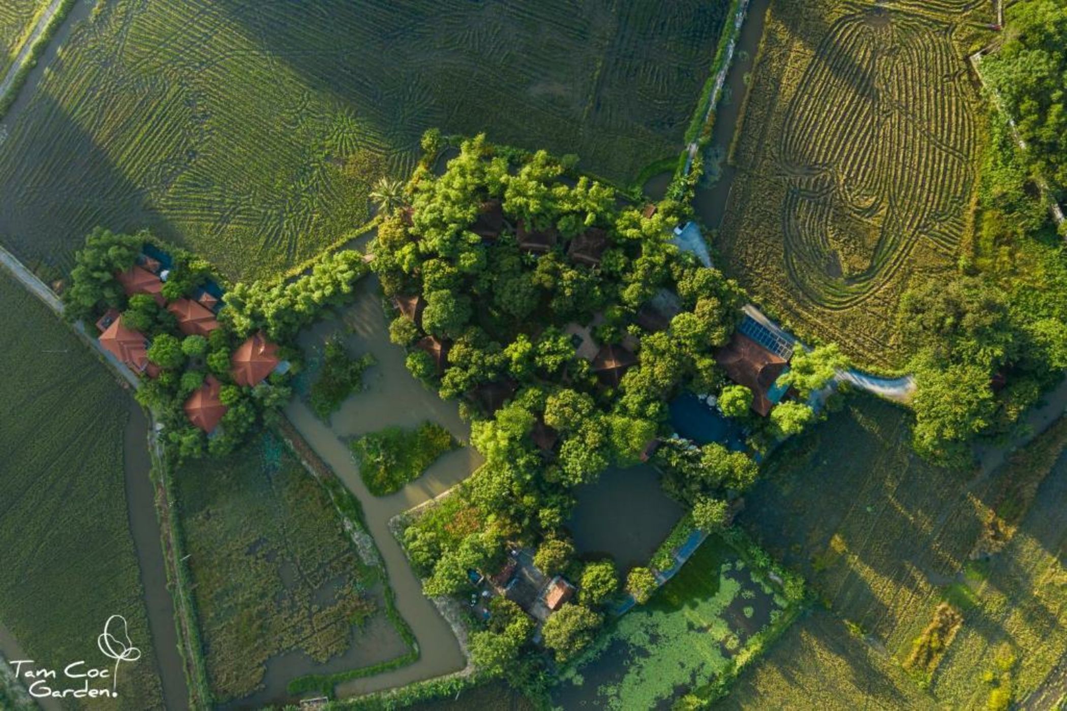 Tam Coc Garden Resort