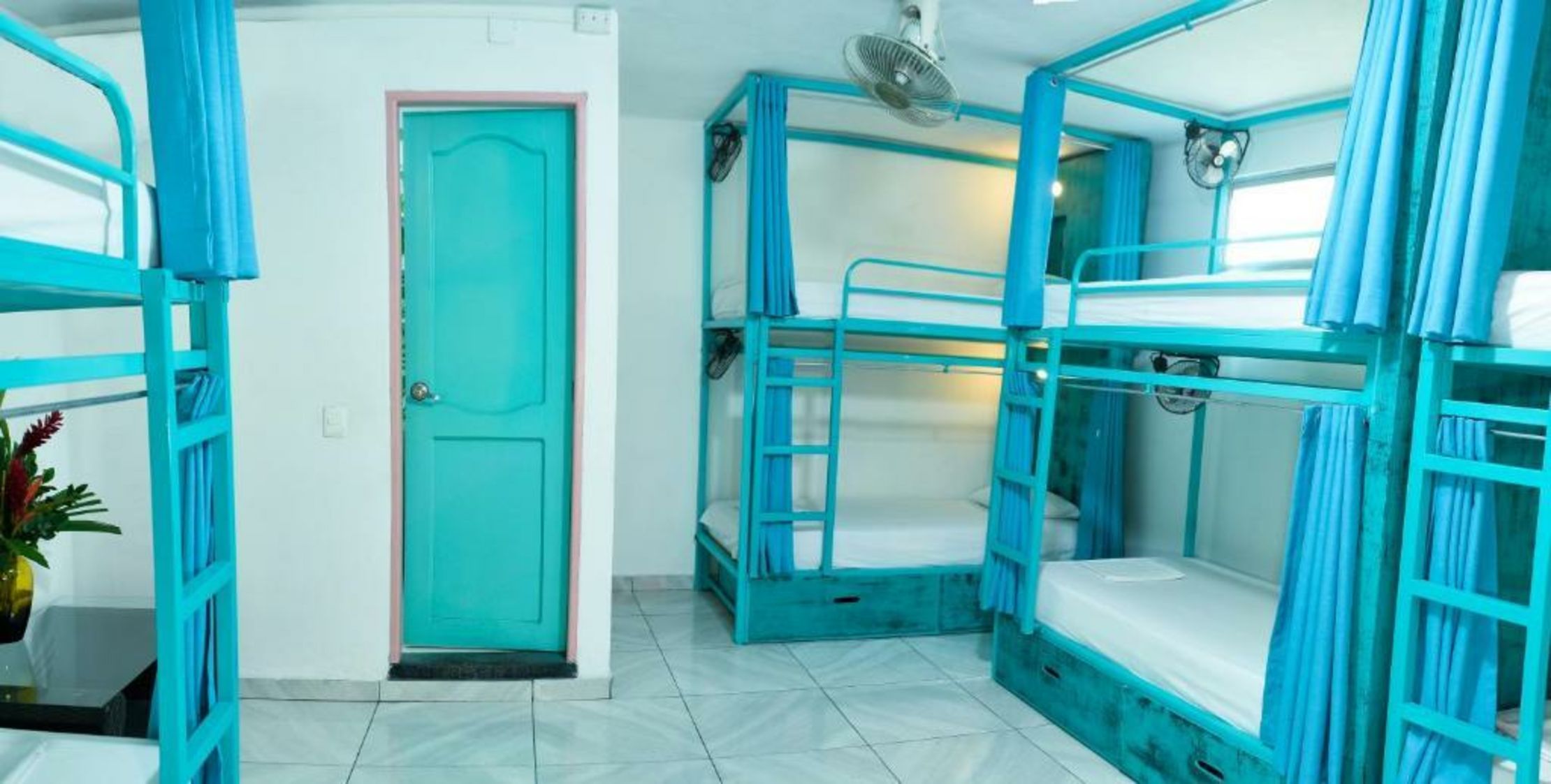 Flamingo Hostel & Coworking