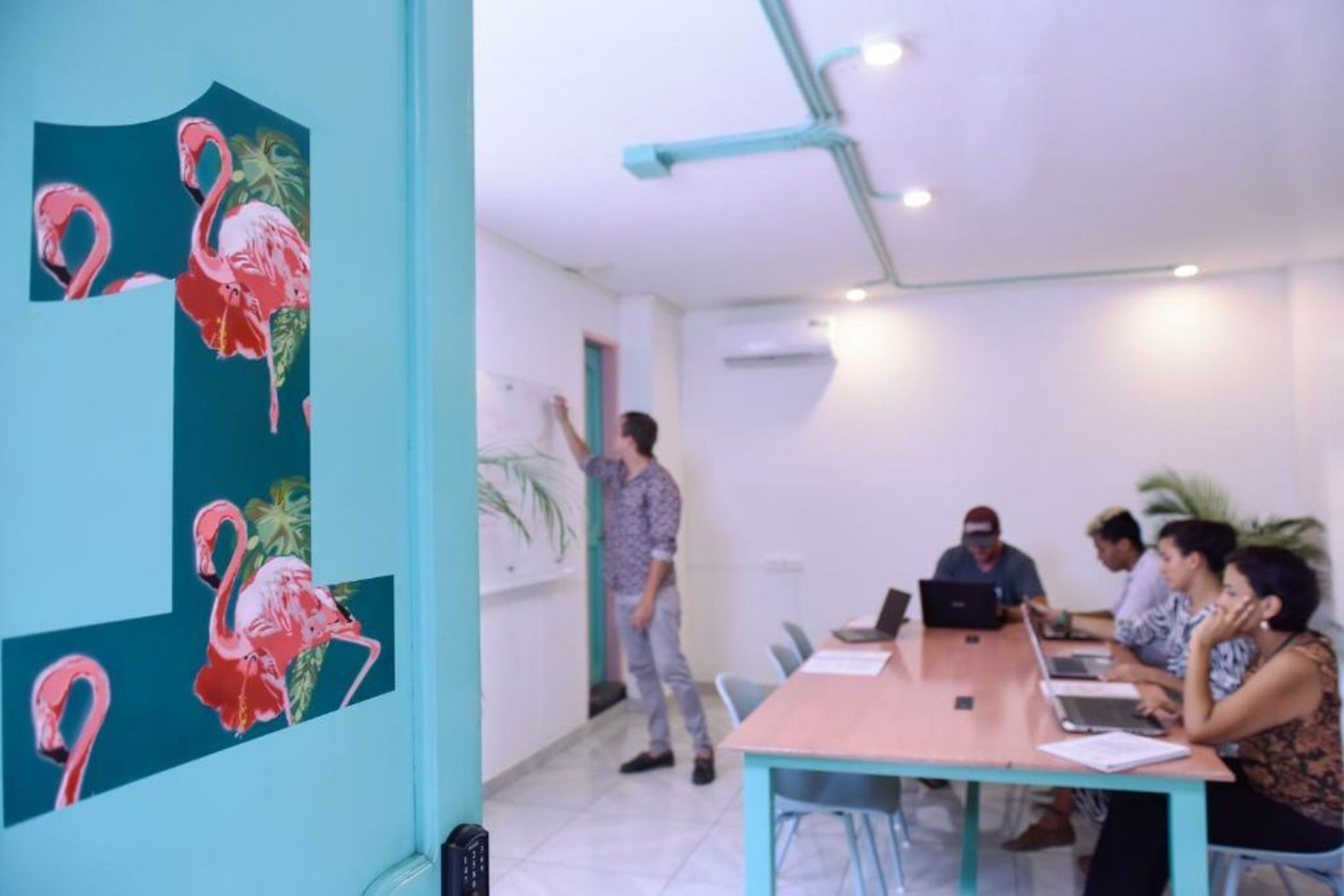 Flamingo Hostel & Coworking