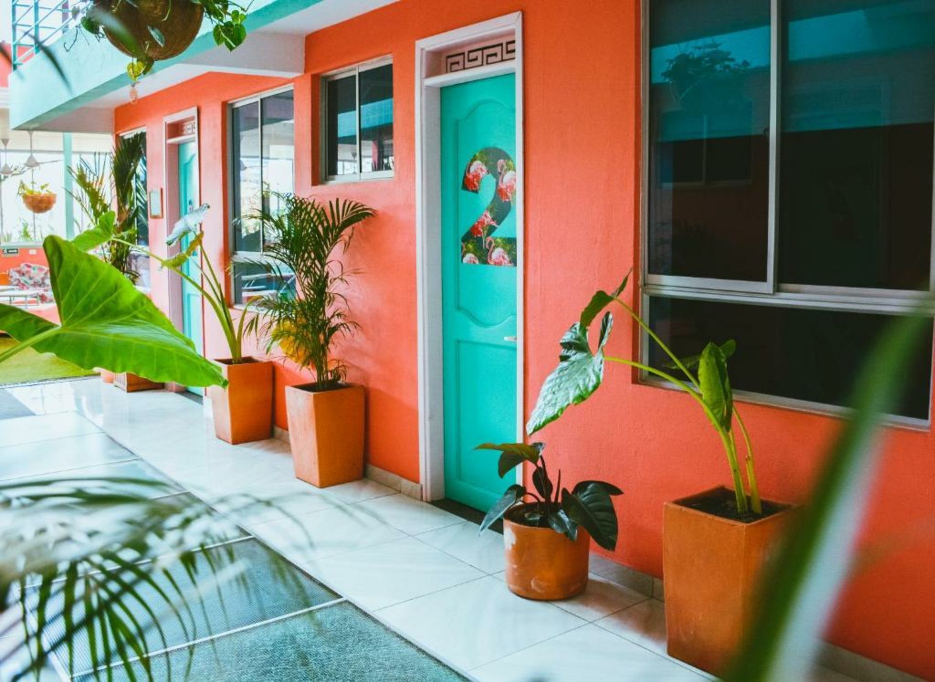 Flamingo Hostel & Coworking