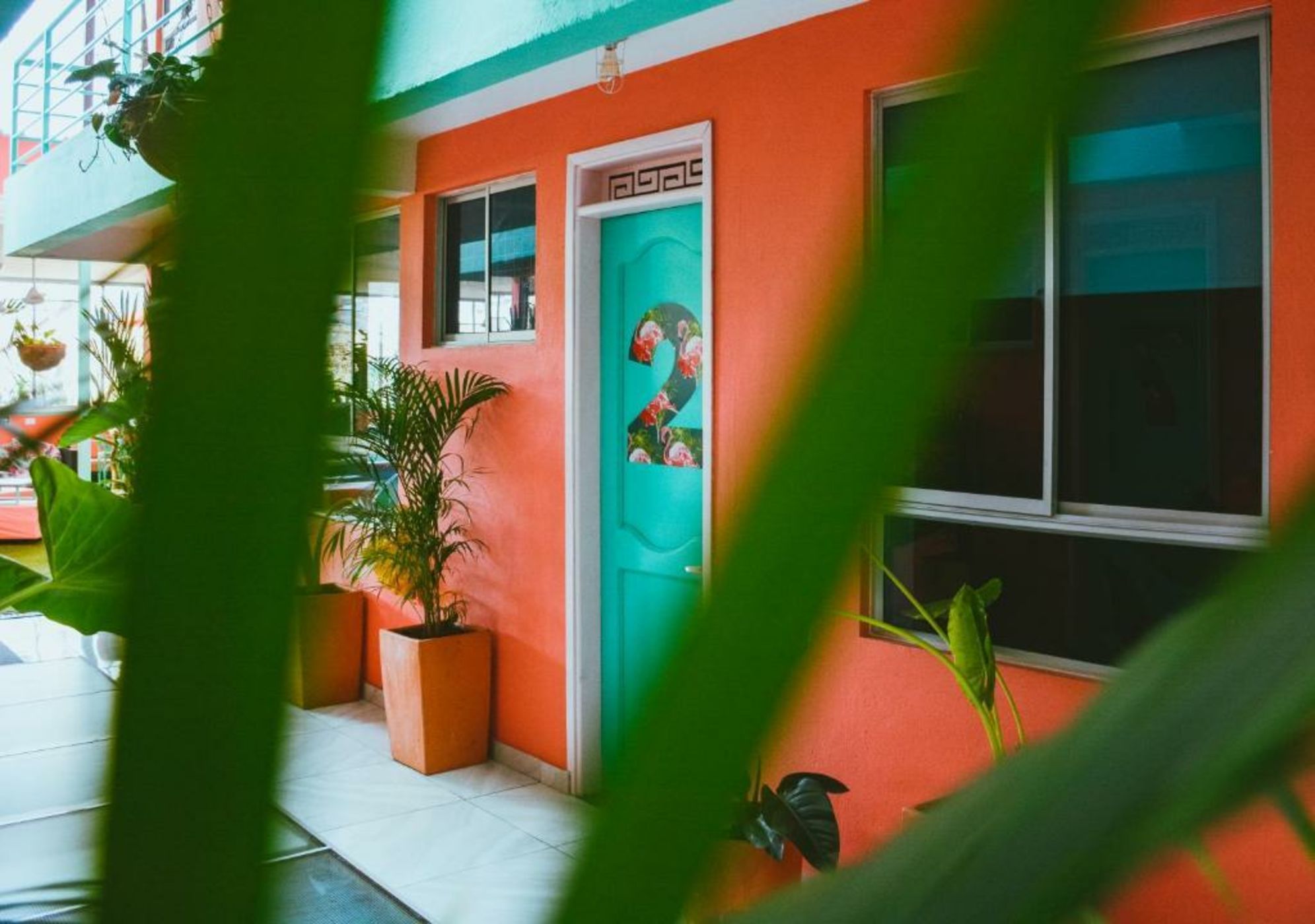 Flamingo Hostel & Coworking