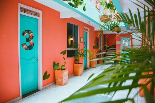 Flamingo Hostel & Coworking