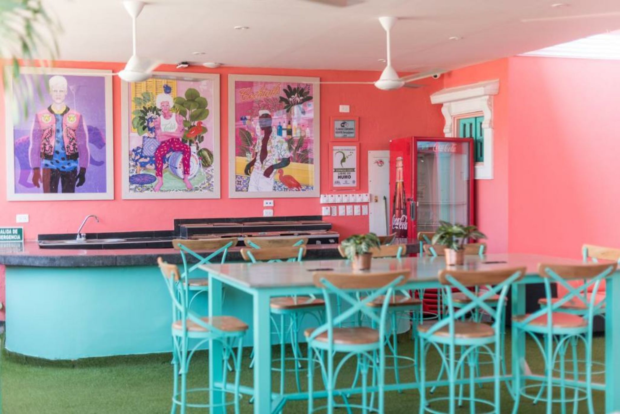 Flamingo Hostel & Coworking