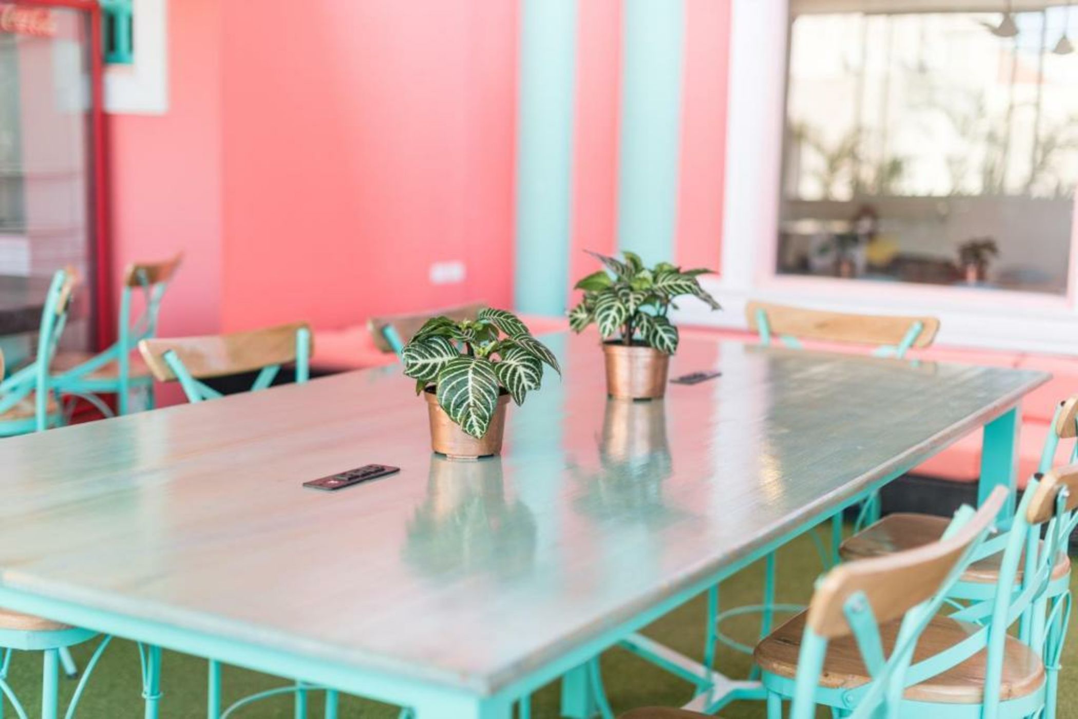 Flamingo Hostel & Coworking