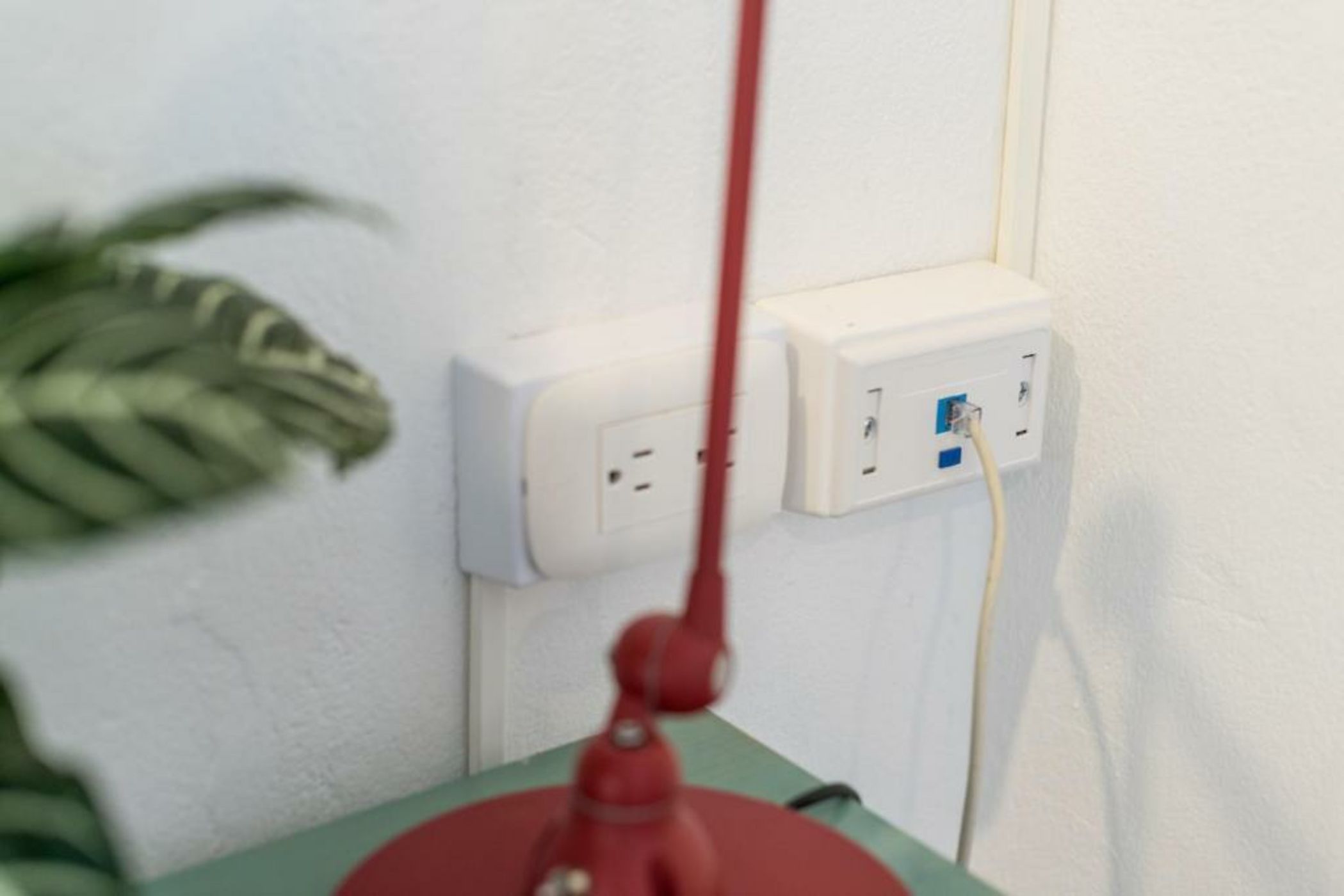 Flamingo Hostel & Coworking