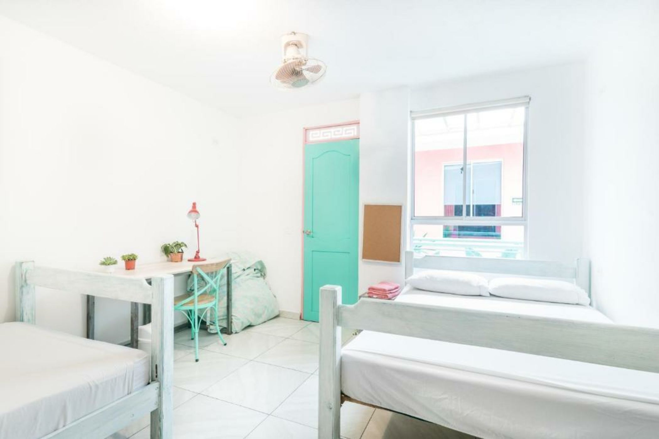 Flamingo Hostel & Coworking