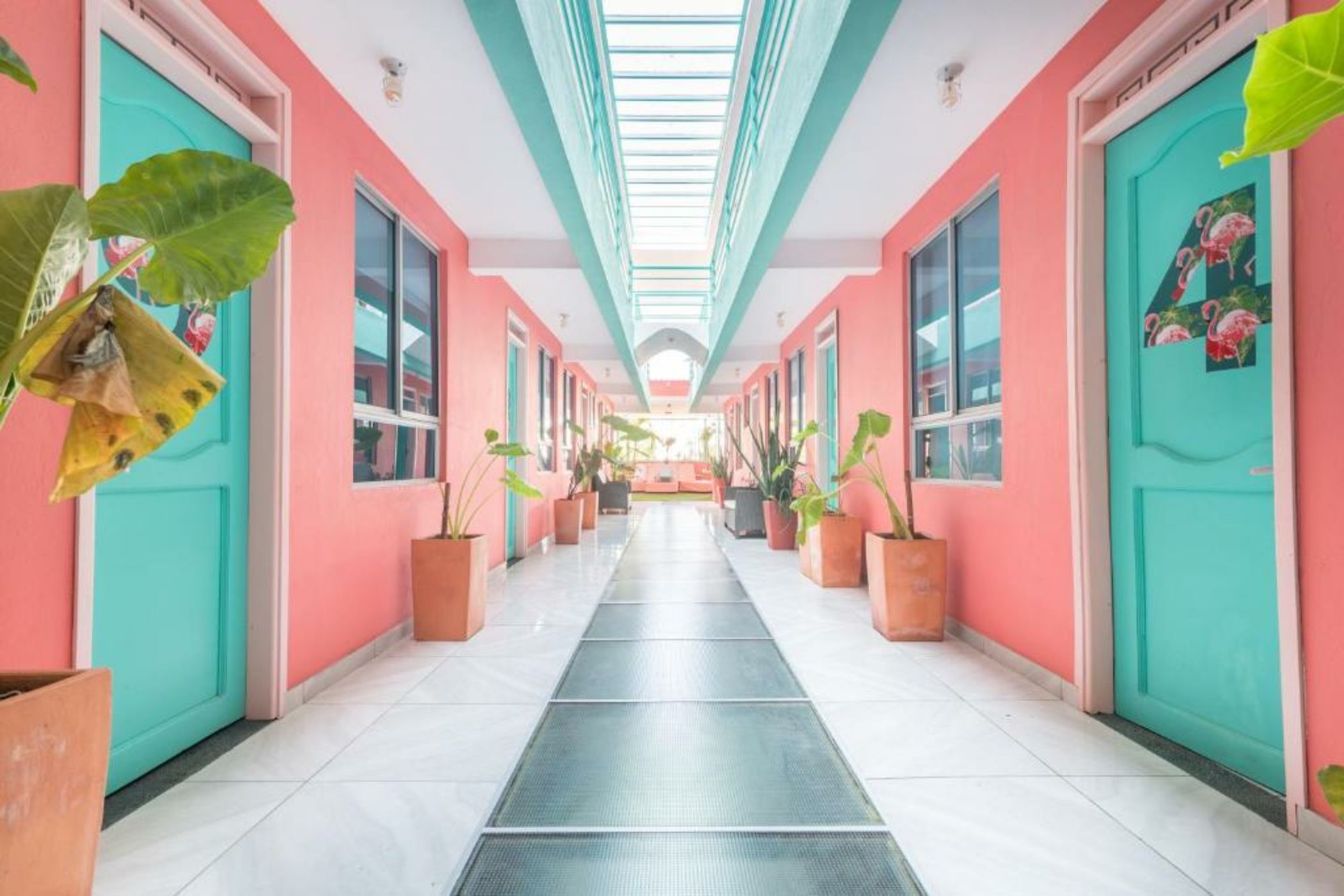 Flamingo Hostel & Coworking