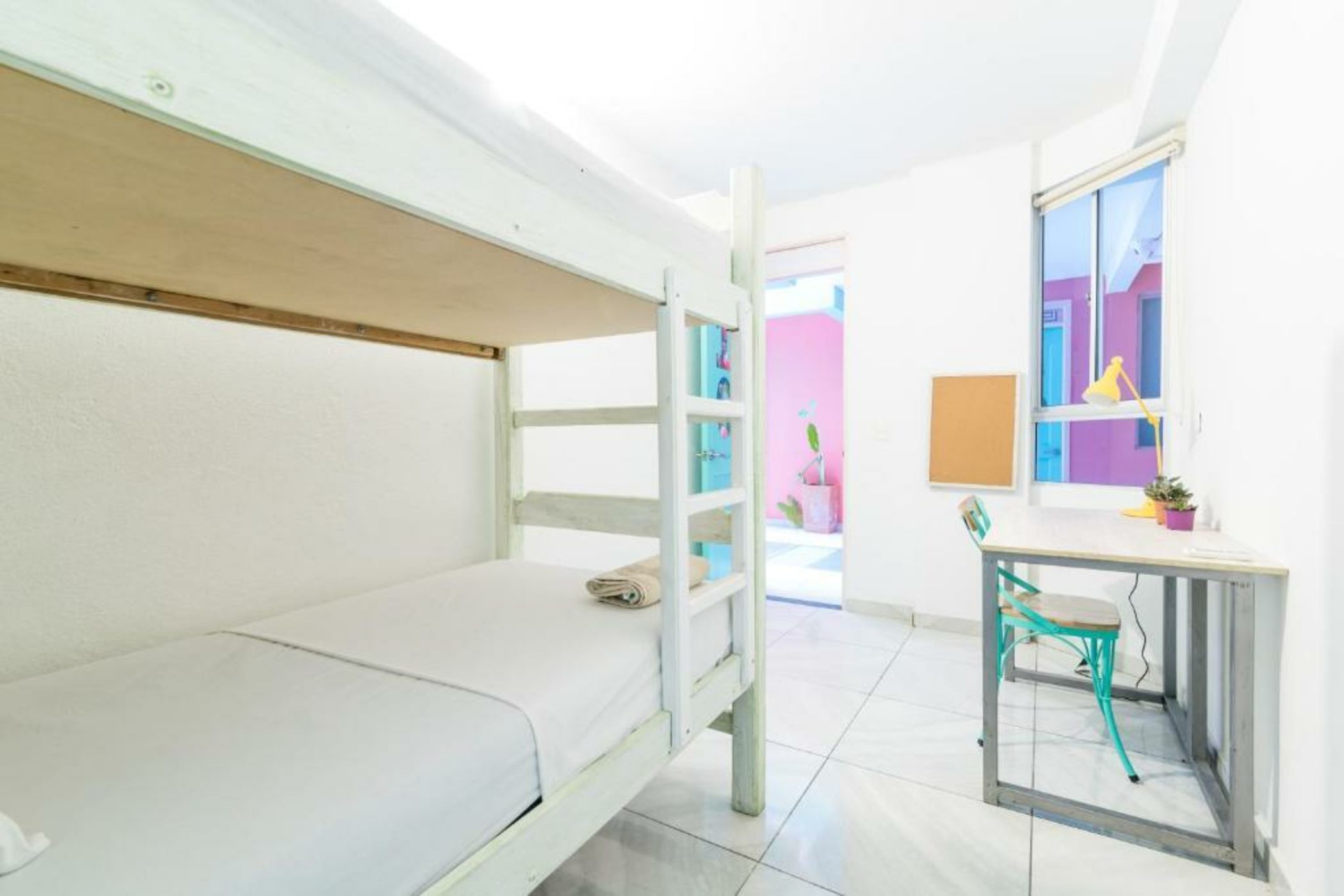 Flamingo Hostel & Coworking