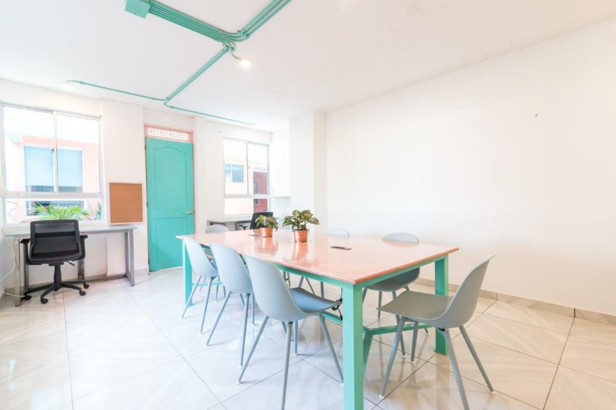 Flamingo Hostel & Coworking