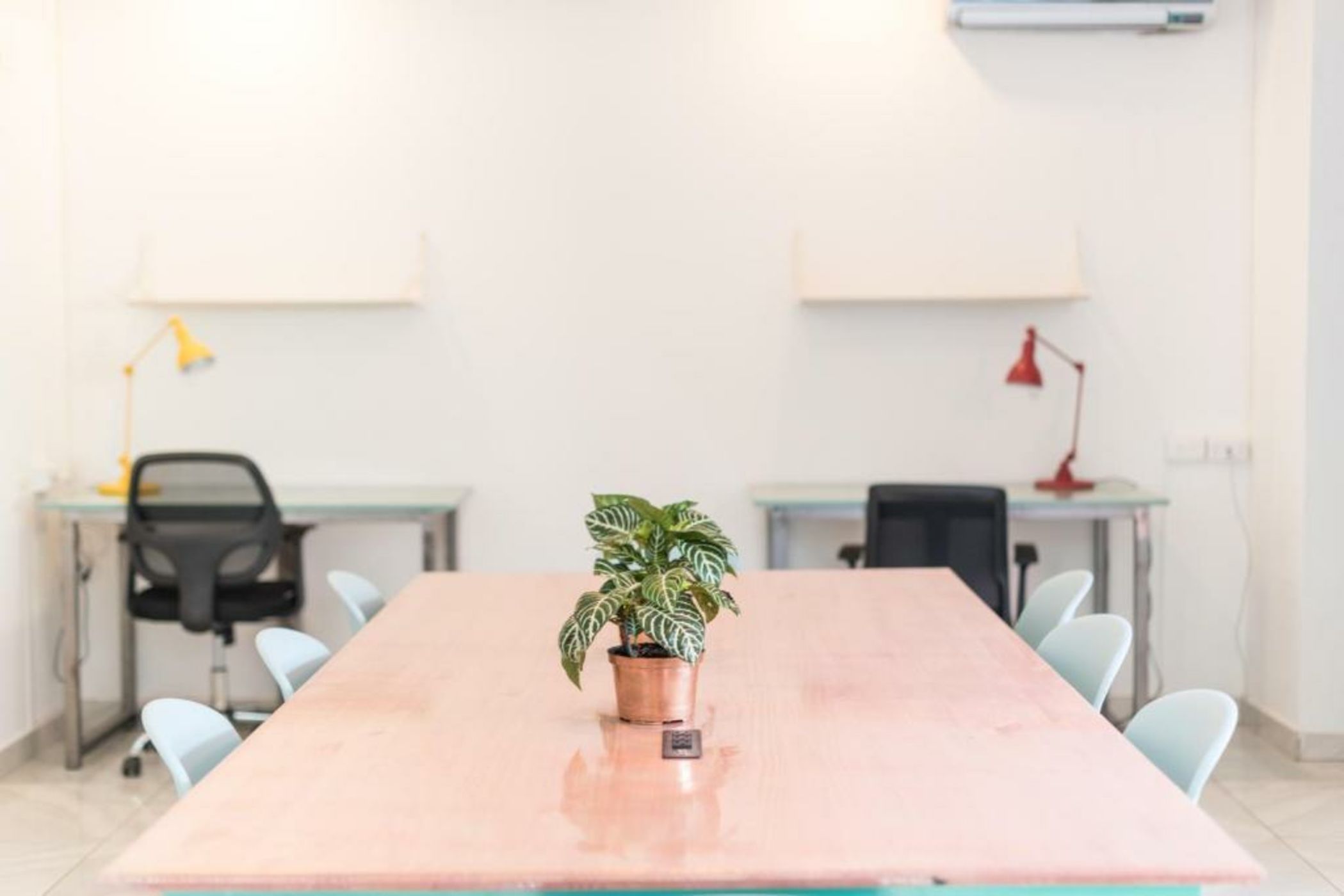 Flamingo Hostel & Coworking