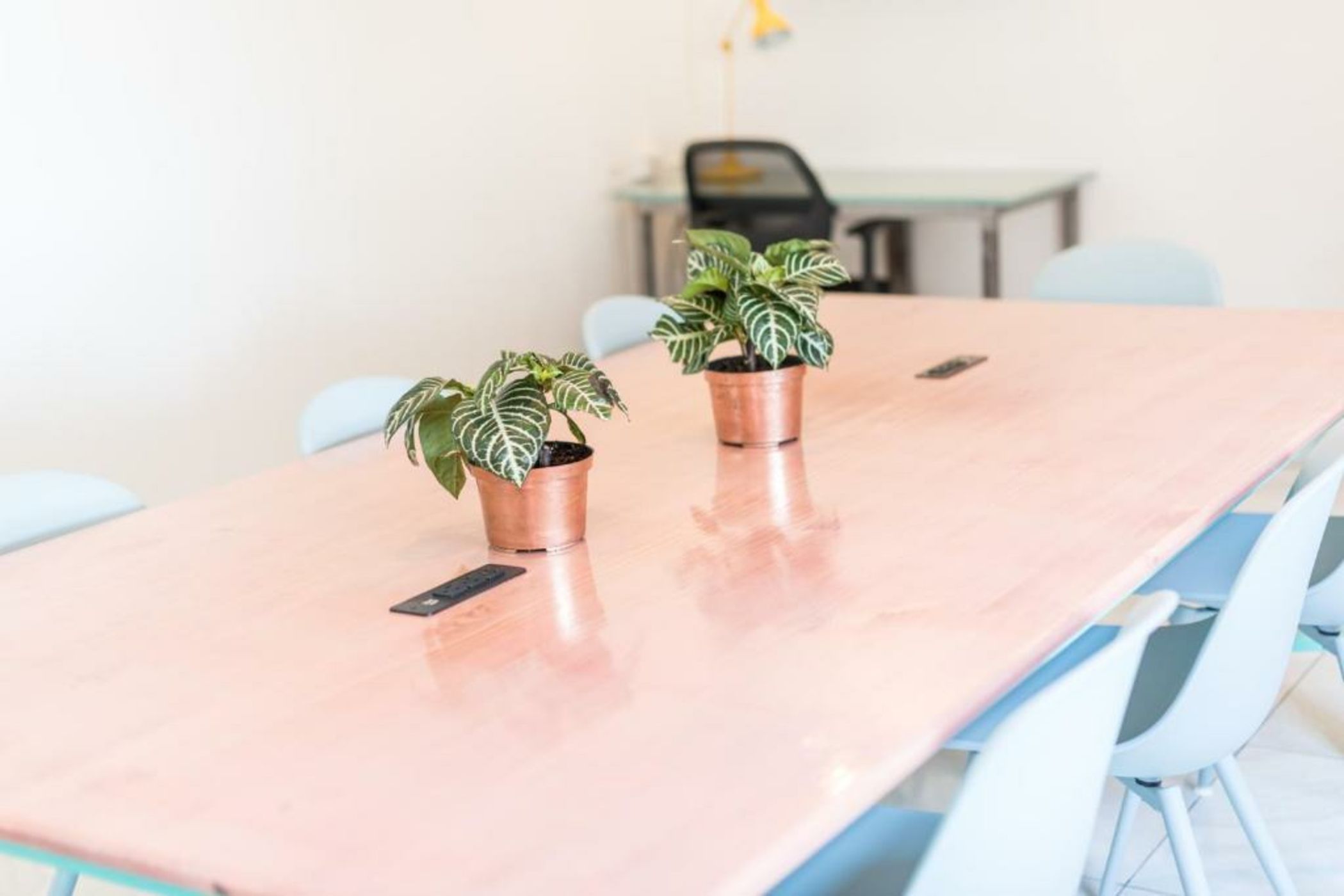 Flamingo Hostel & Coworking