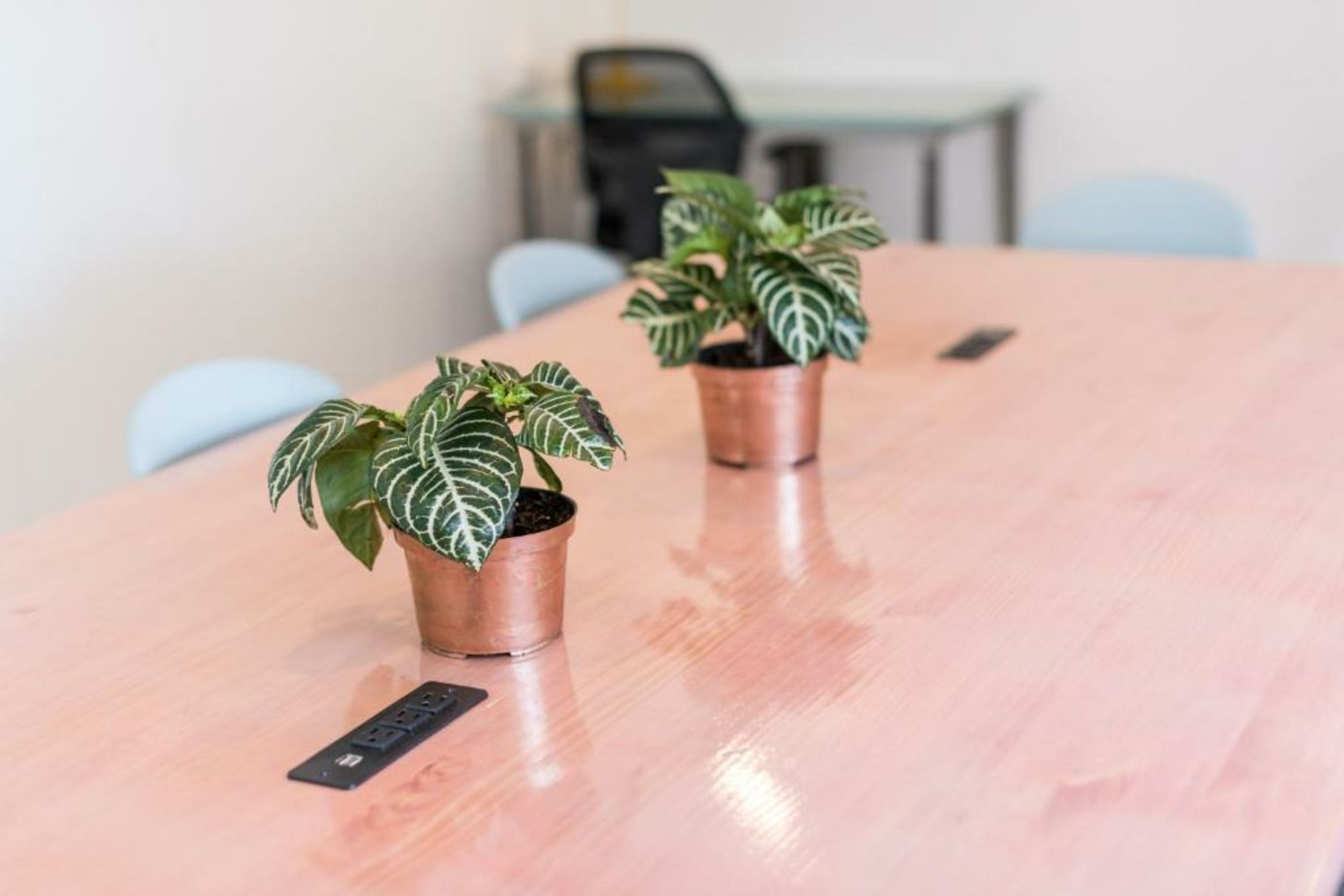 Flamingo Hostel & Coworking