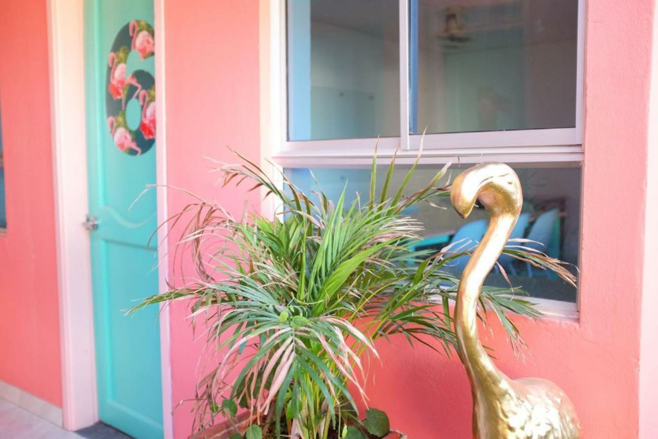 Flamingo Hostel & Coworking