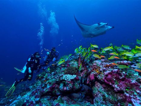 OZEN LIFE MAADHOO - Luxury All Inclusive